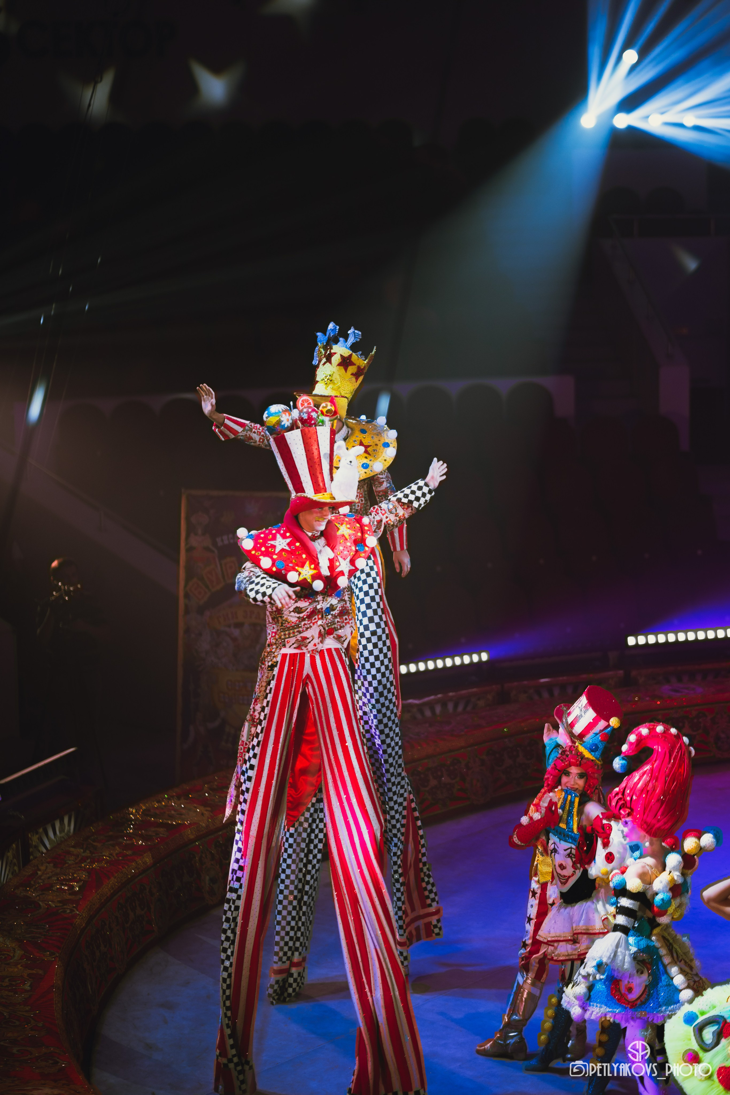 Пресс-конференция циркового шоу Гии Эрадзе «Бурлеск» (репортаж). Фотограф, видеограф Пятигорск, Ставрополь, Ессентуки, Petlyakovs_photo