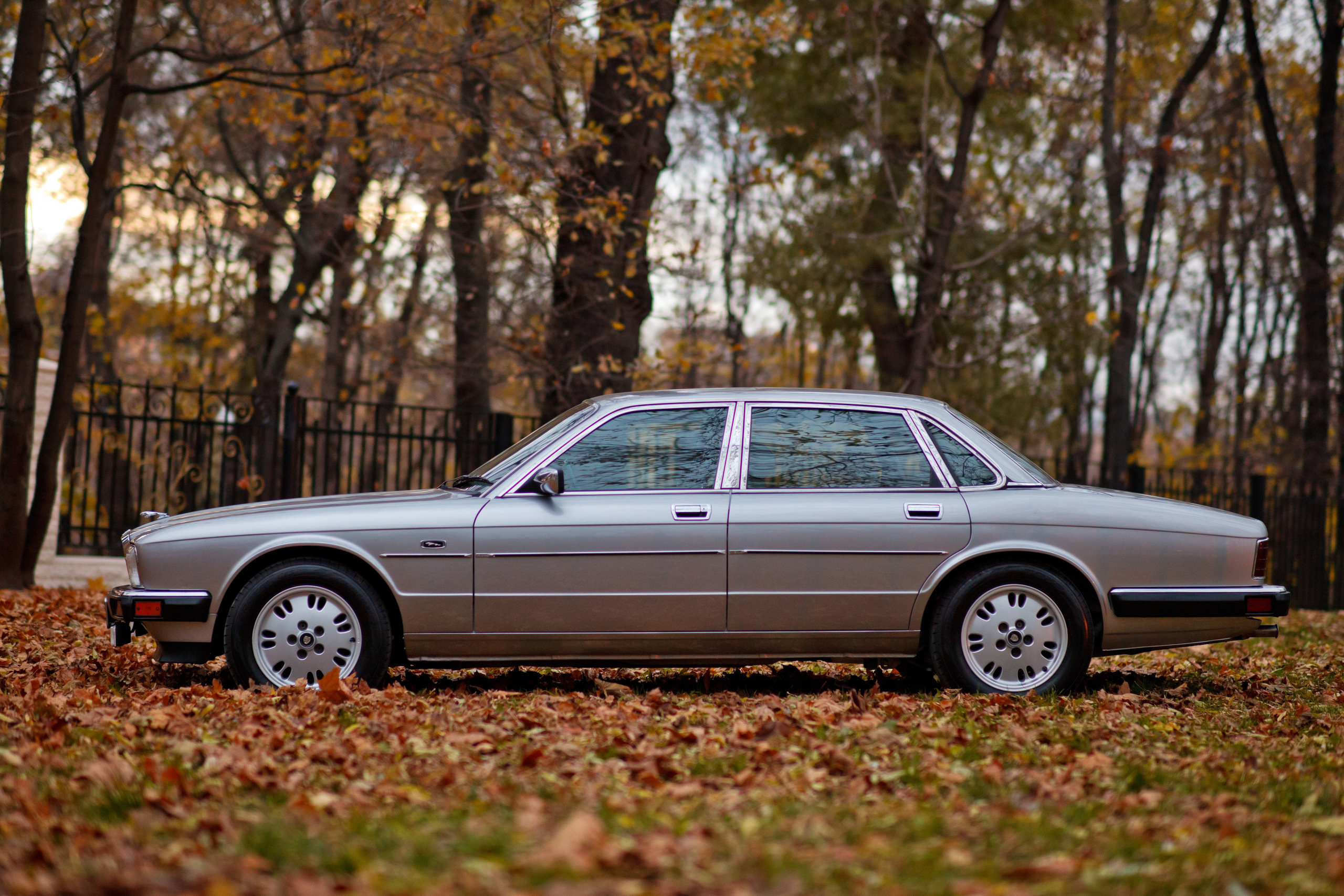 Jaguar XJ фото после реставрации в Britgarage. Фотограф Сергей Лукьянов @xapeton_photo Москва