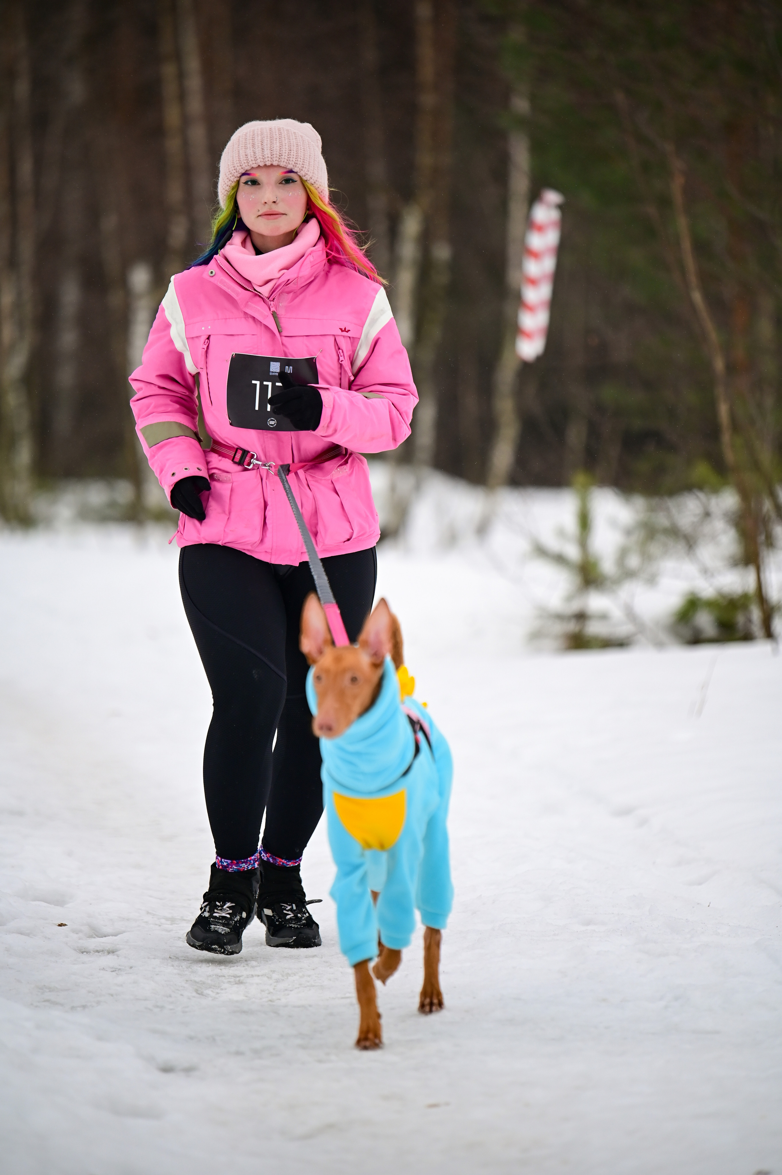 Open Band Trails. Буран. Фотограф | Ирина Гамзинова | Москва