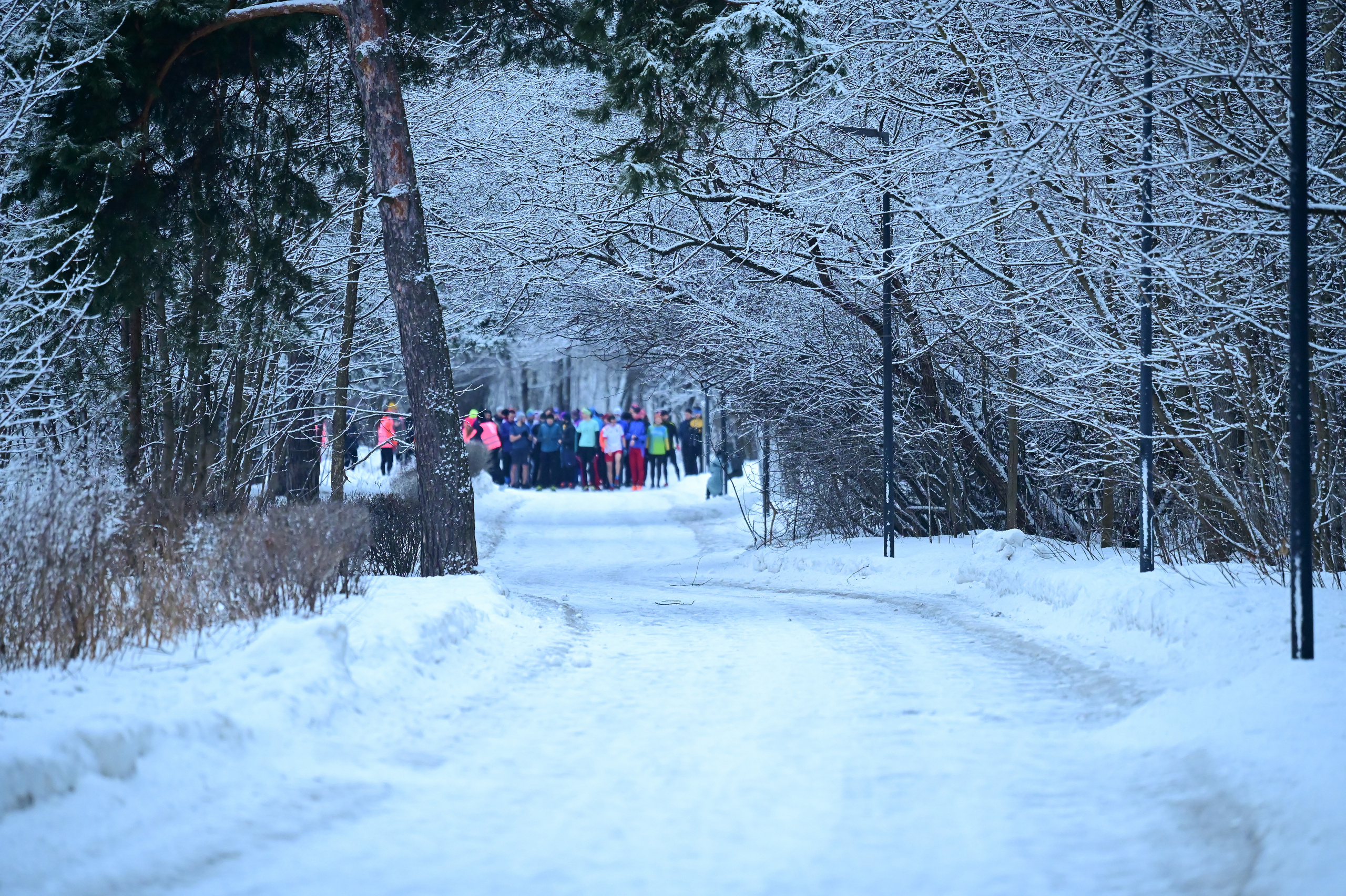 Sat9am5km Кузьминки (04.12.22). Фотограф | Ирина Гамзинова | Москва