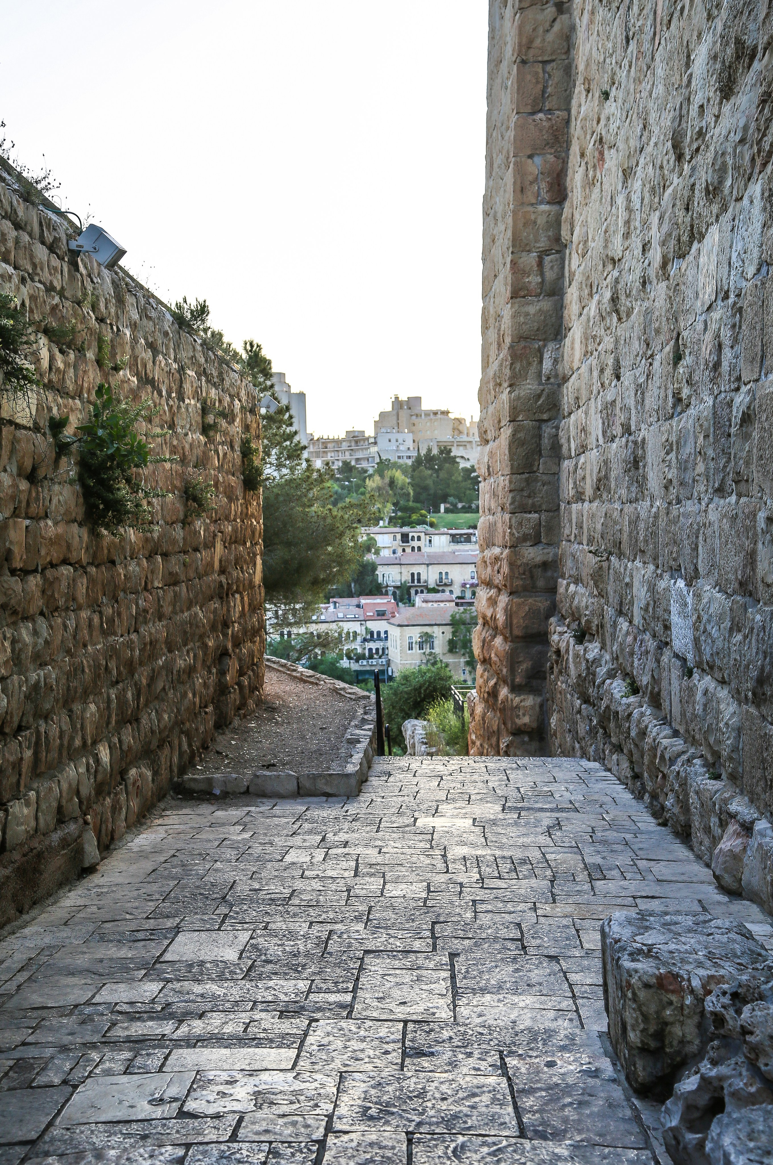 Израиль: «Под небом голубым есть город золотой…». Дарья Письменюк / Darya Leitstern — фотограф, музыкант, журналист, путешественник