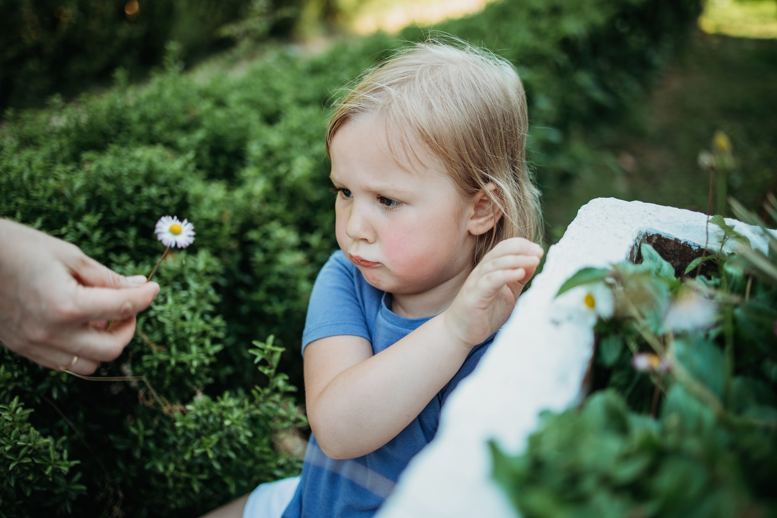 Семейная фотосессия в Сочи. Фотограф Сочи Татьяна Зорина