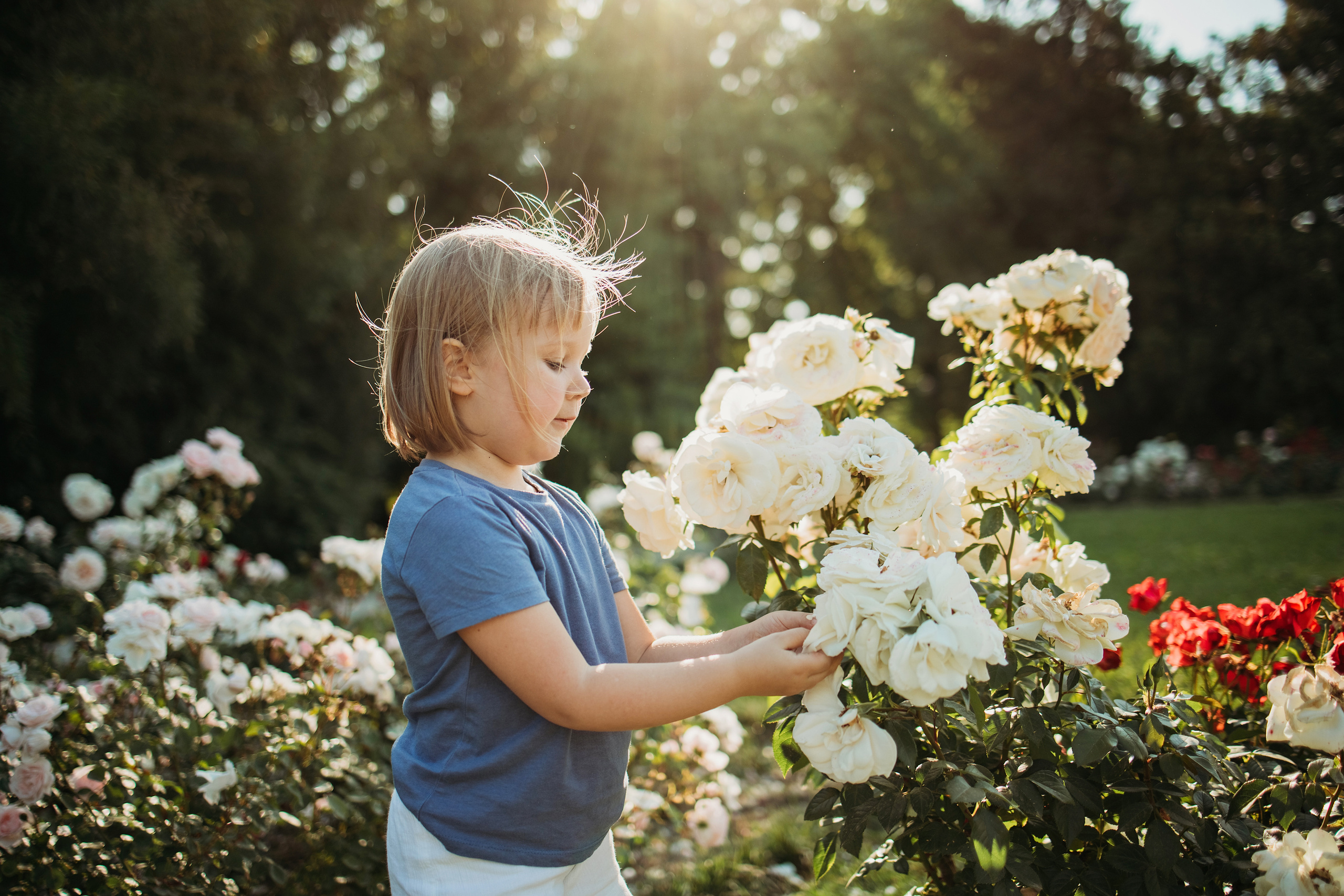 Семейная фотосессия в Сочи. Фотограф Сочи Татьяна Зорина