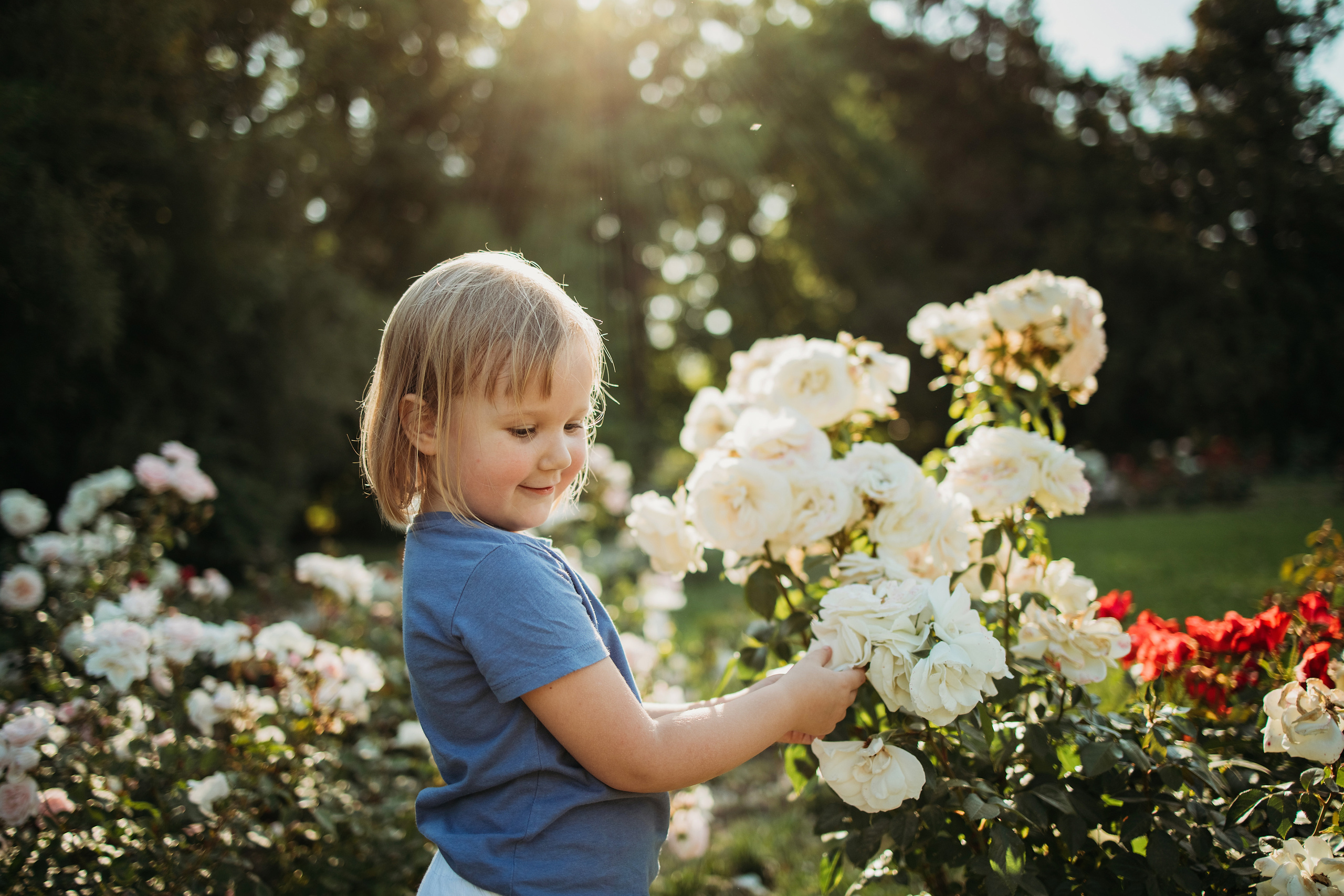 Семейная фотосессия в Сочи. Фотограф Сочи Татьяна Зорина