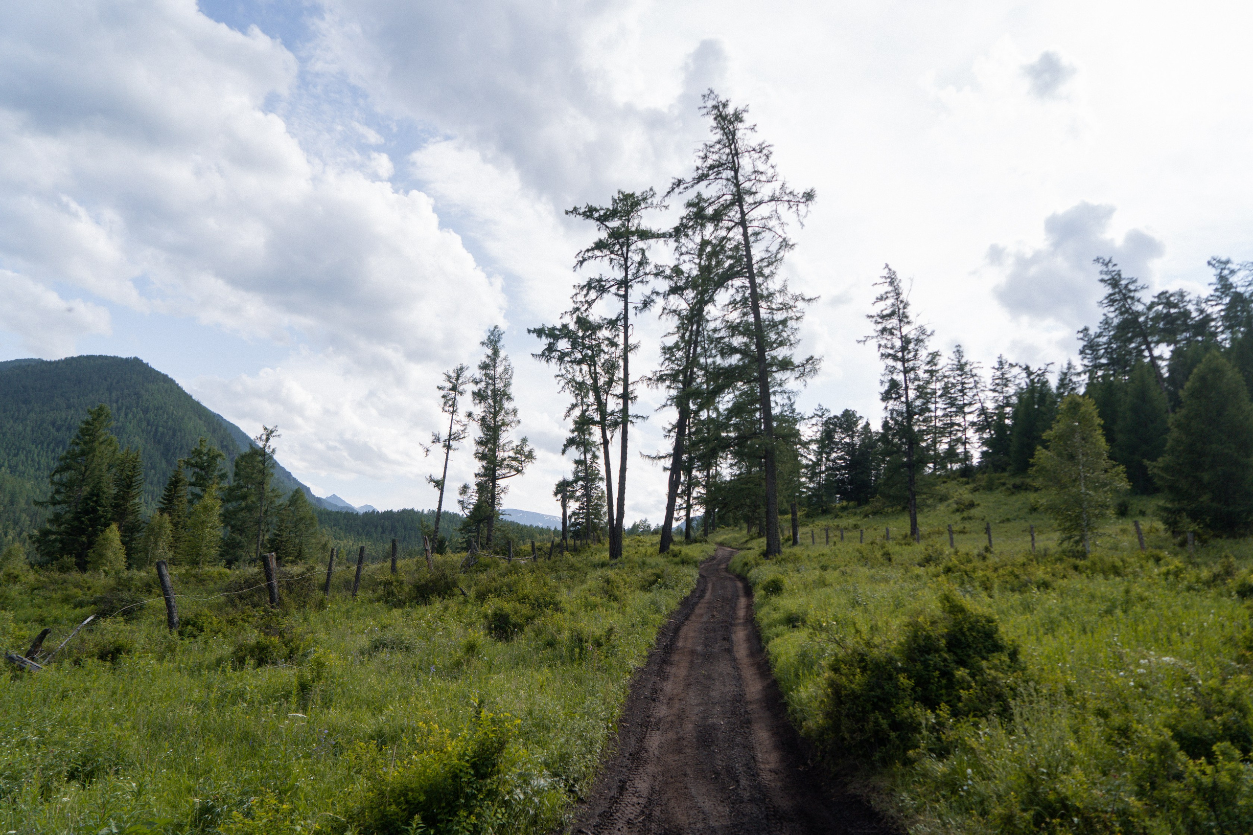 Алтай 2025. Лиза Фирстова