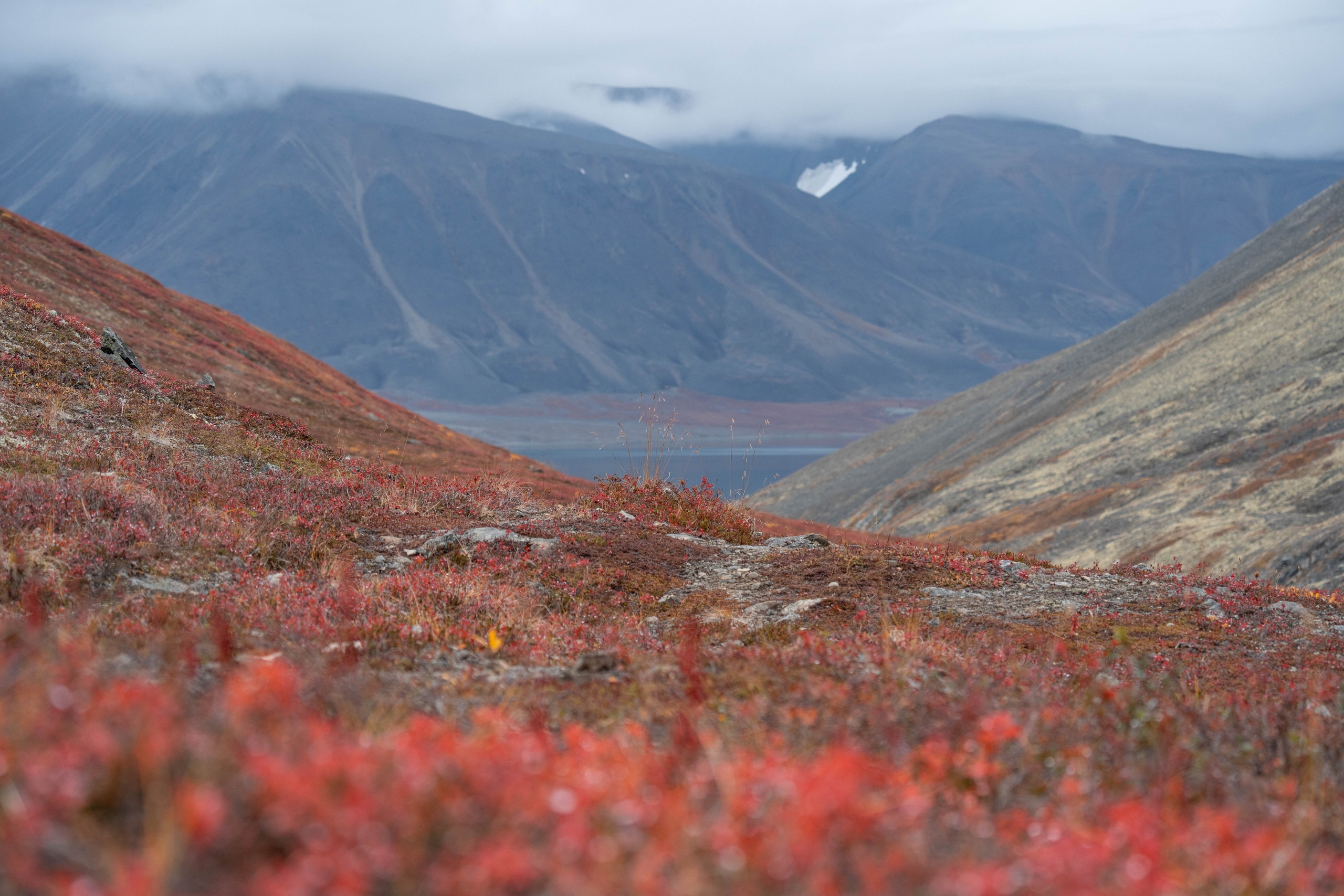 Проекты. Gusarov Travel Photography