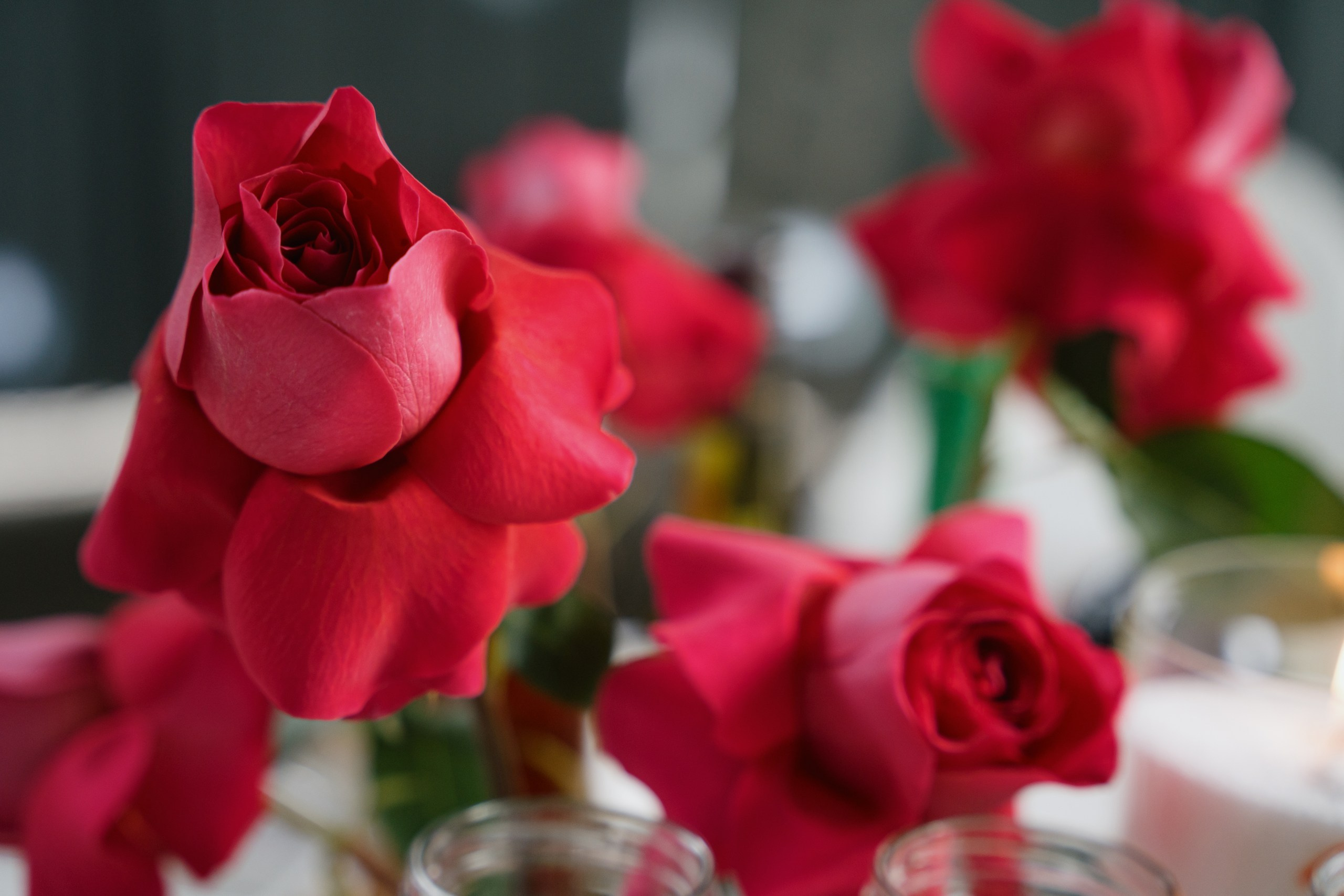 Саша и Женя (полный день). Фотограф Томск, Новосибирск Влад Свириденко