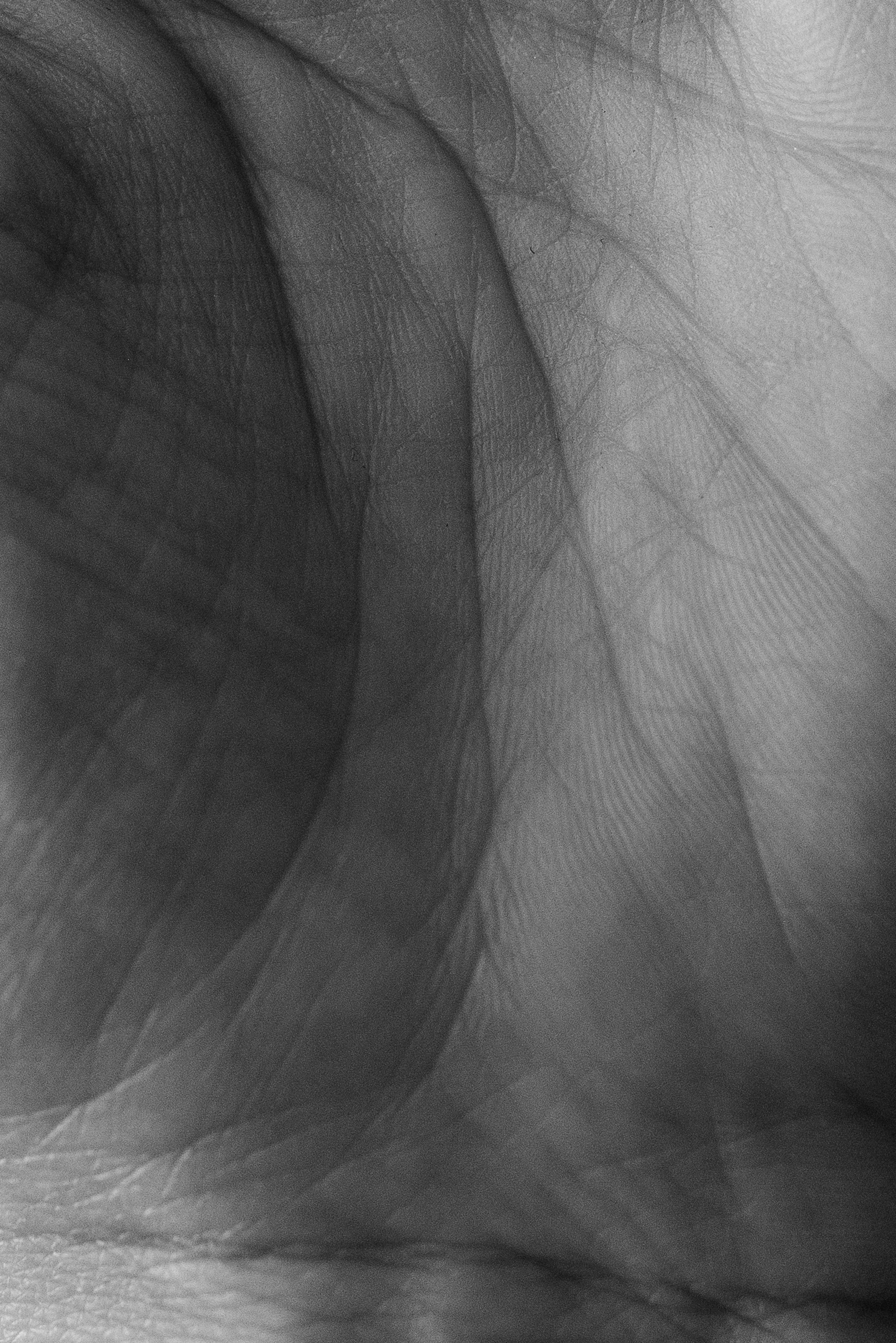 Intersections. Семейный и newborn фотограф в Уфе Елена Сакурова