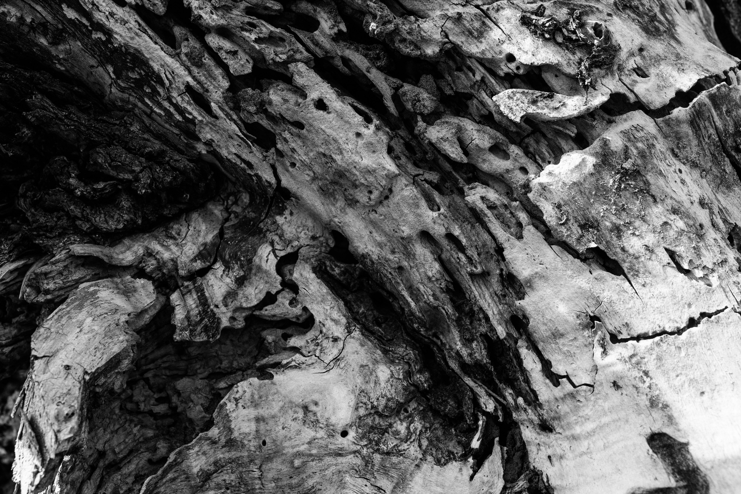 Intersections. Семейный и newborn фотограф в Уфе Елена Сакурова