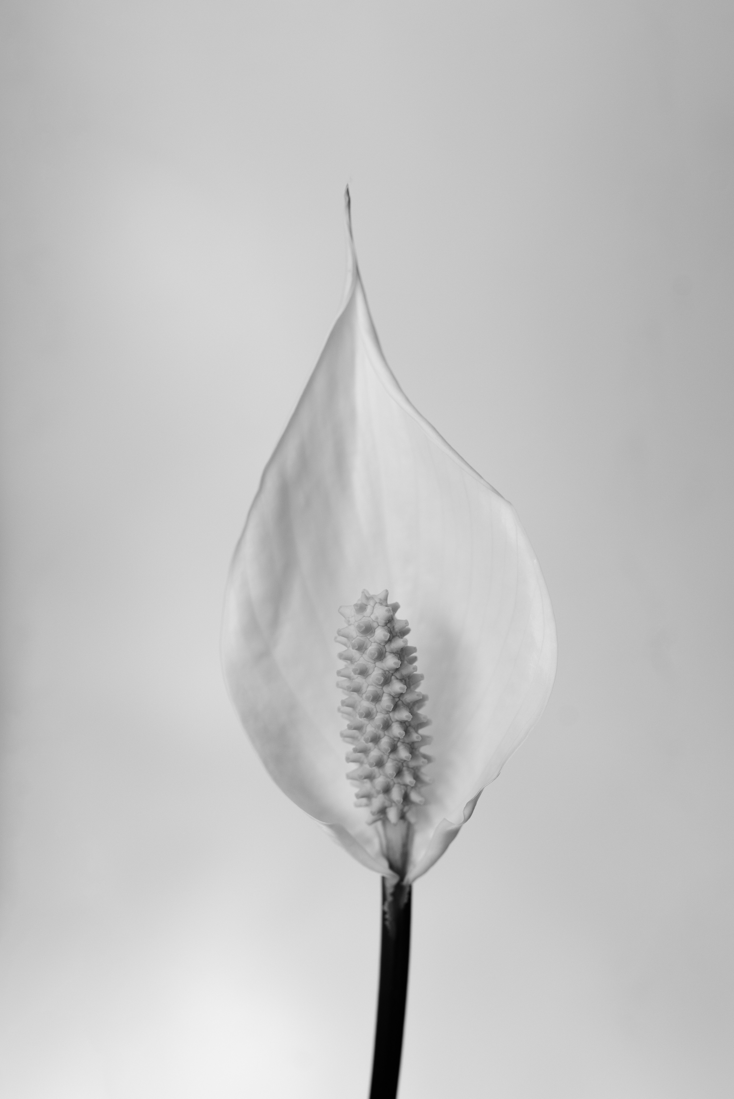 Intersections. Семейный и newborn фотограф в Уфе Елена Сакурова