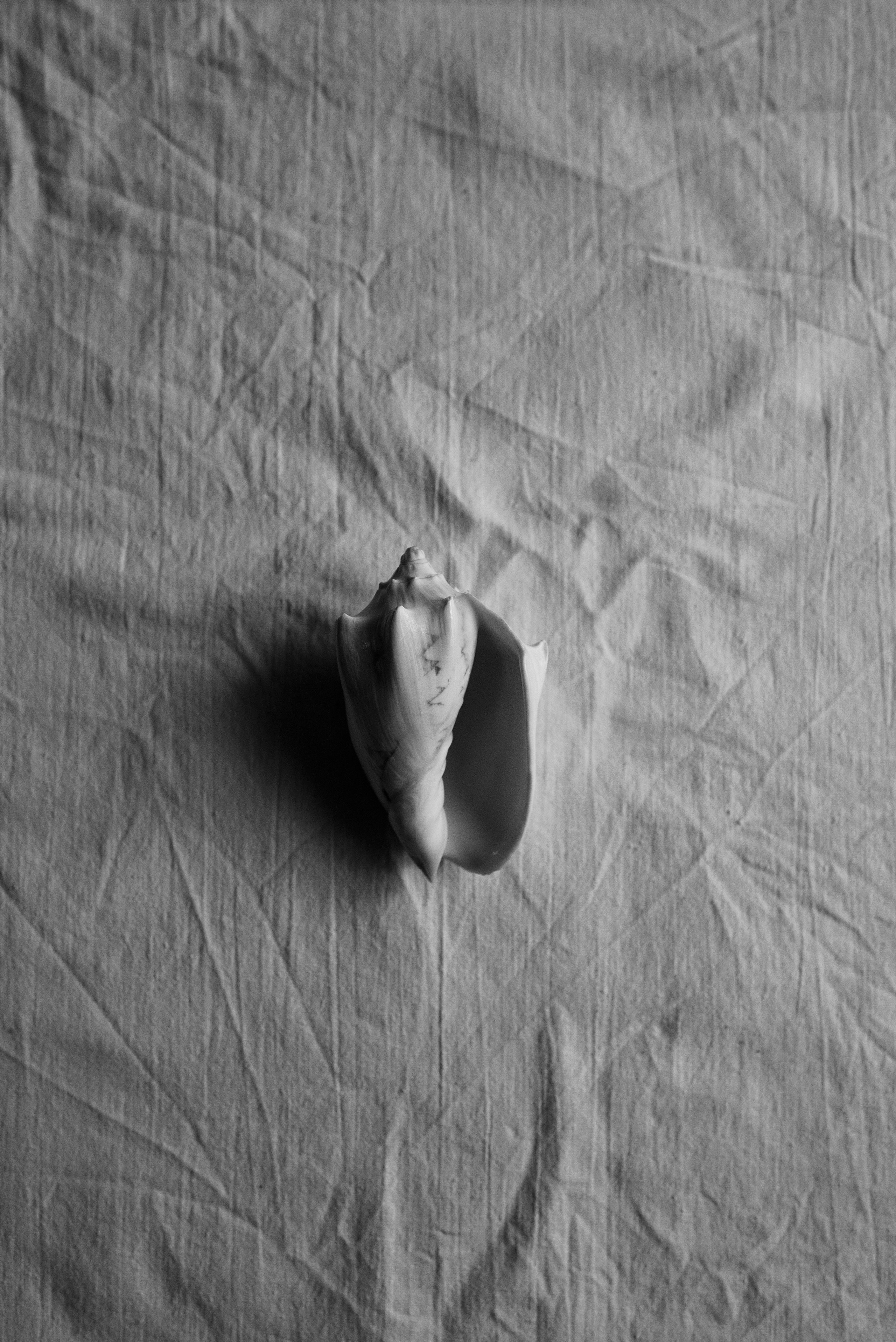 Intersections. Семейный и newborn фотограф в Уфе Елена Сакурова