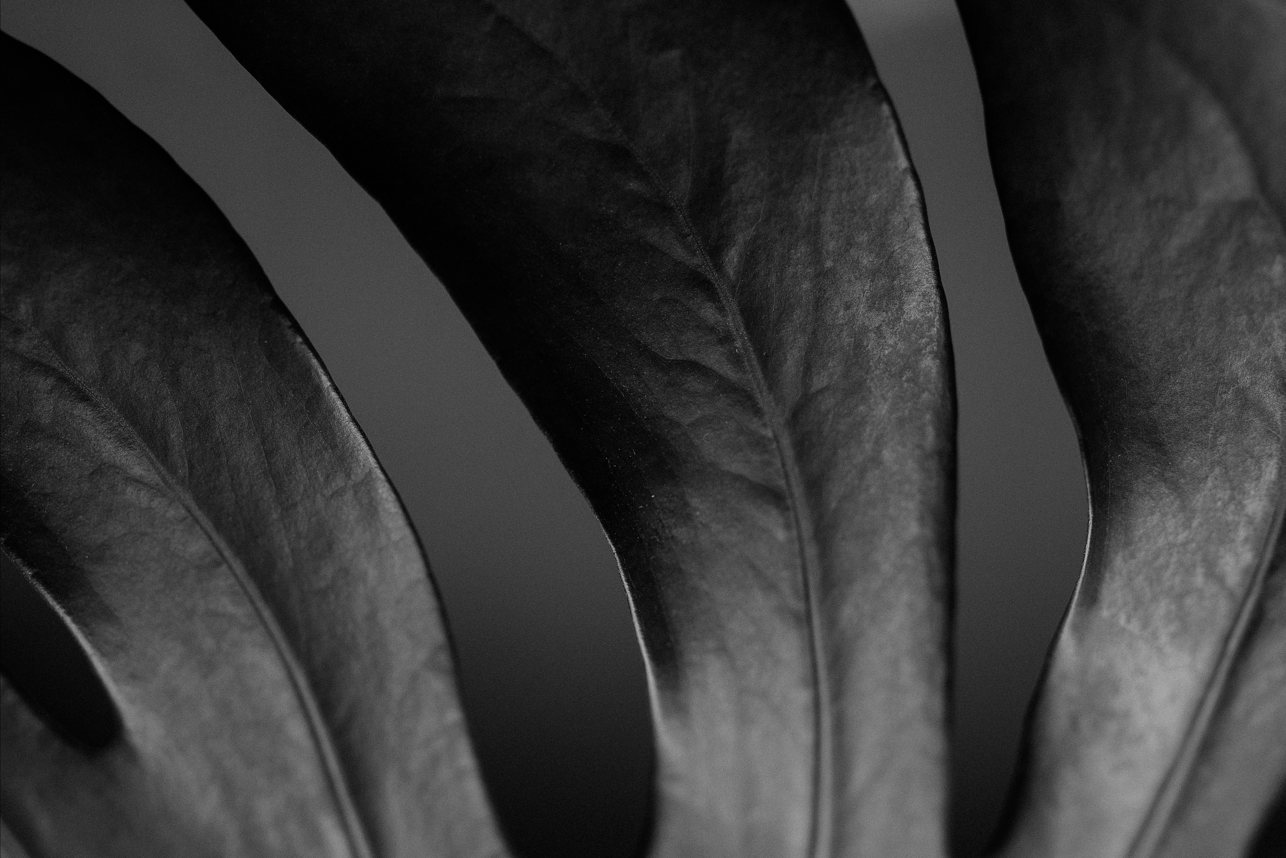 Intersections. Семейный и newborn фотограф в Уфе Елена Сакурова