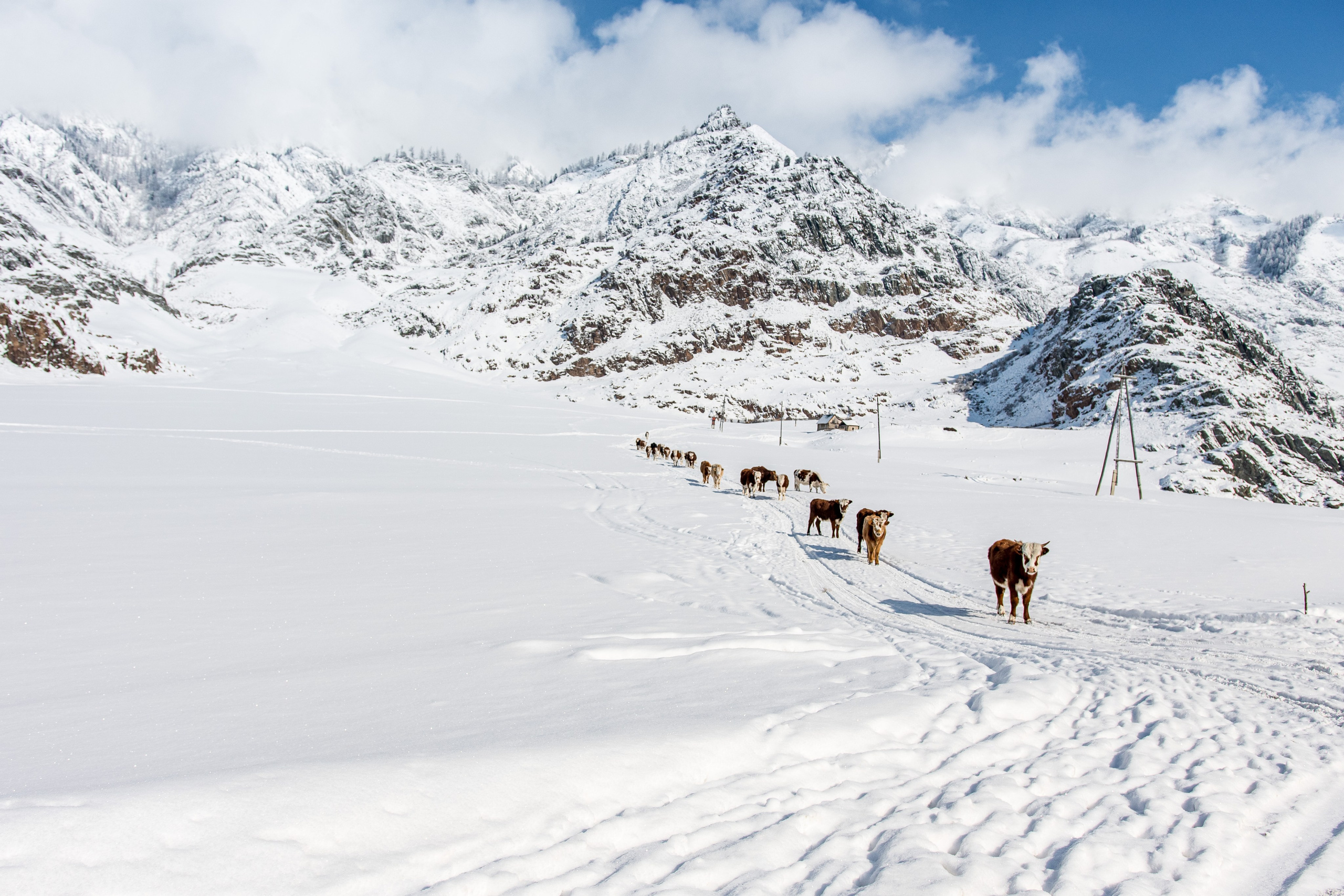 Творчество. Репортажный фотограф в Москве Измалков Артем