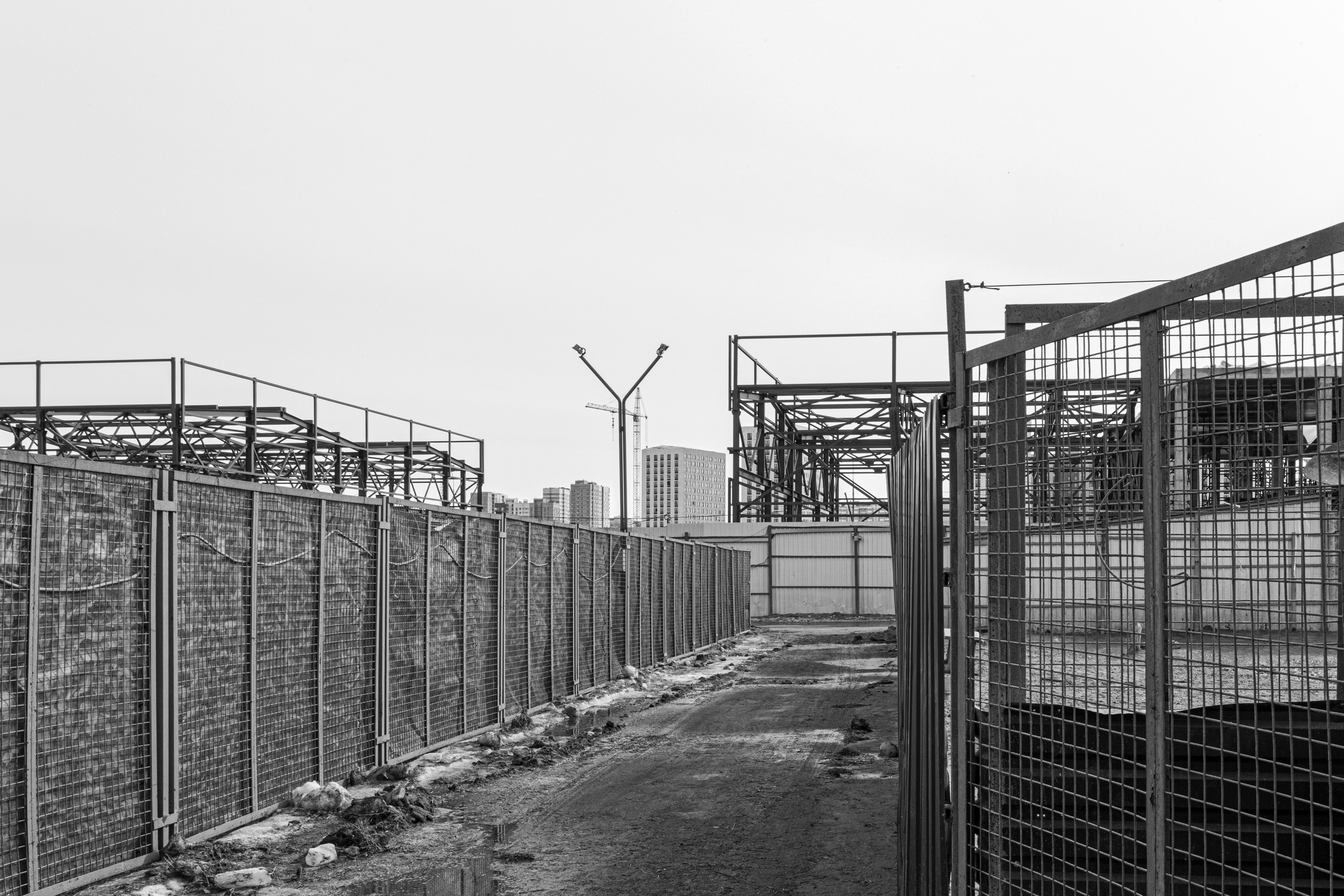 Future Perspectives (2020-2022). Вероника Трубникова — фотохудожница / Veronika Trubnikova — photoartist