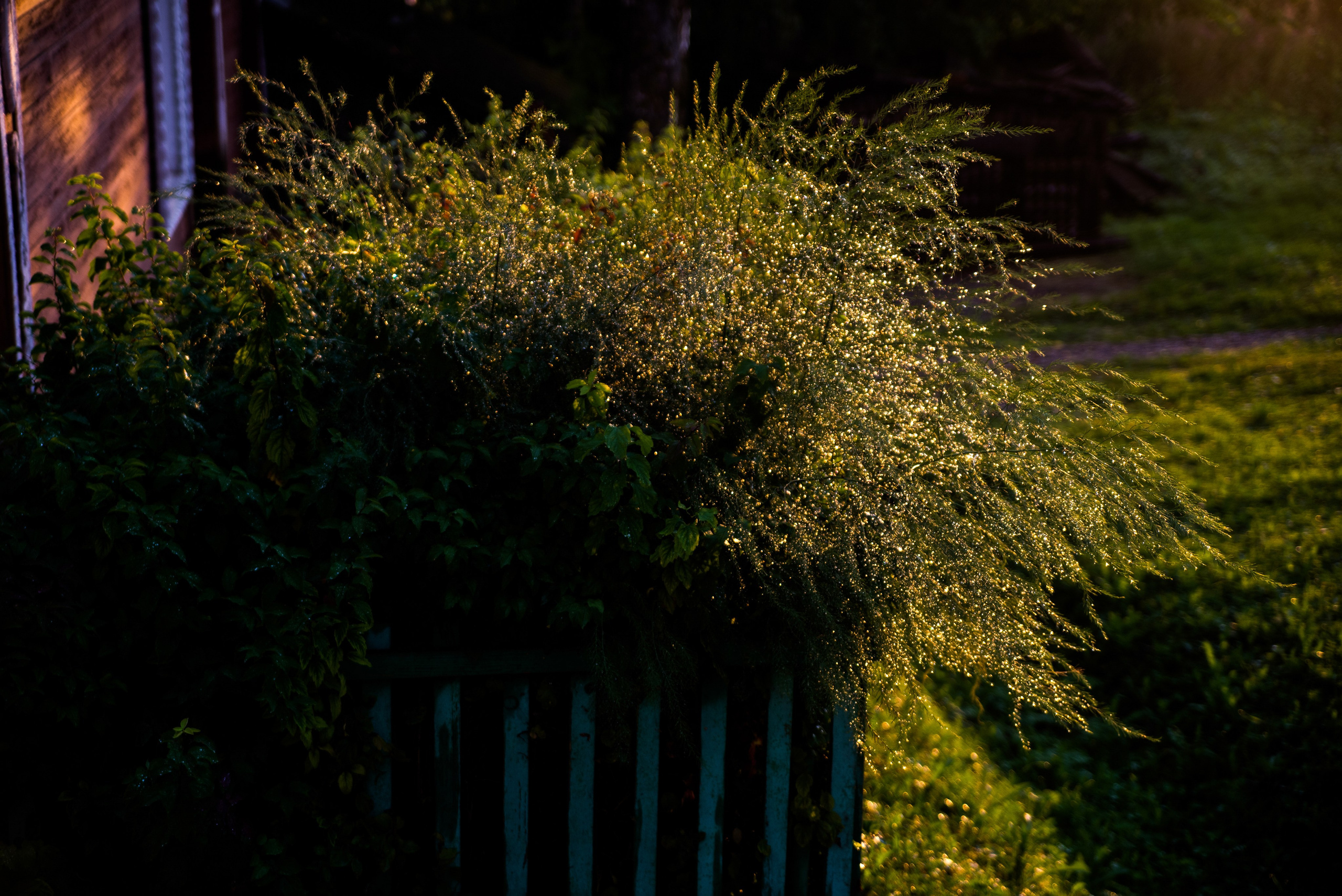 Where the sun shines. Alyona Kochetkova | Photographer and photography educator