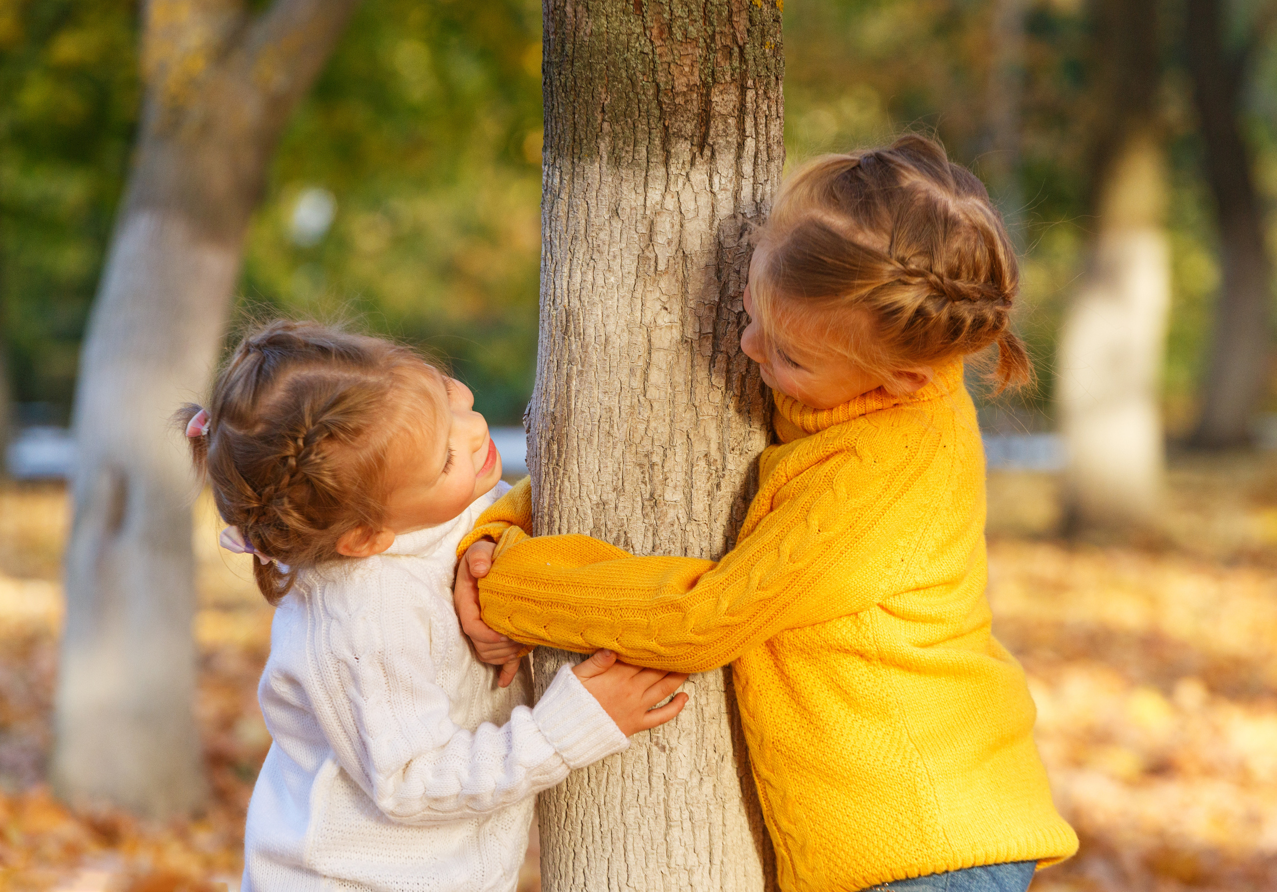 Золотая осень. Фотограф Петров Александр Свадьбы, Съемка в студии, Выпускные альбомы г. Балашов