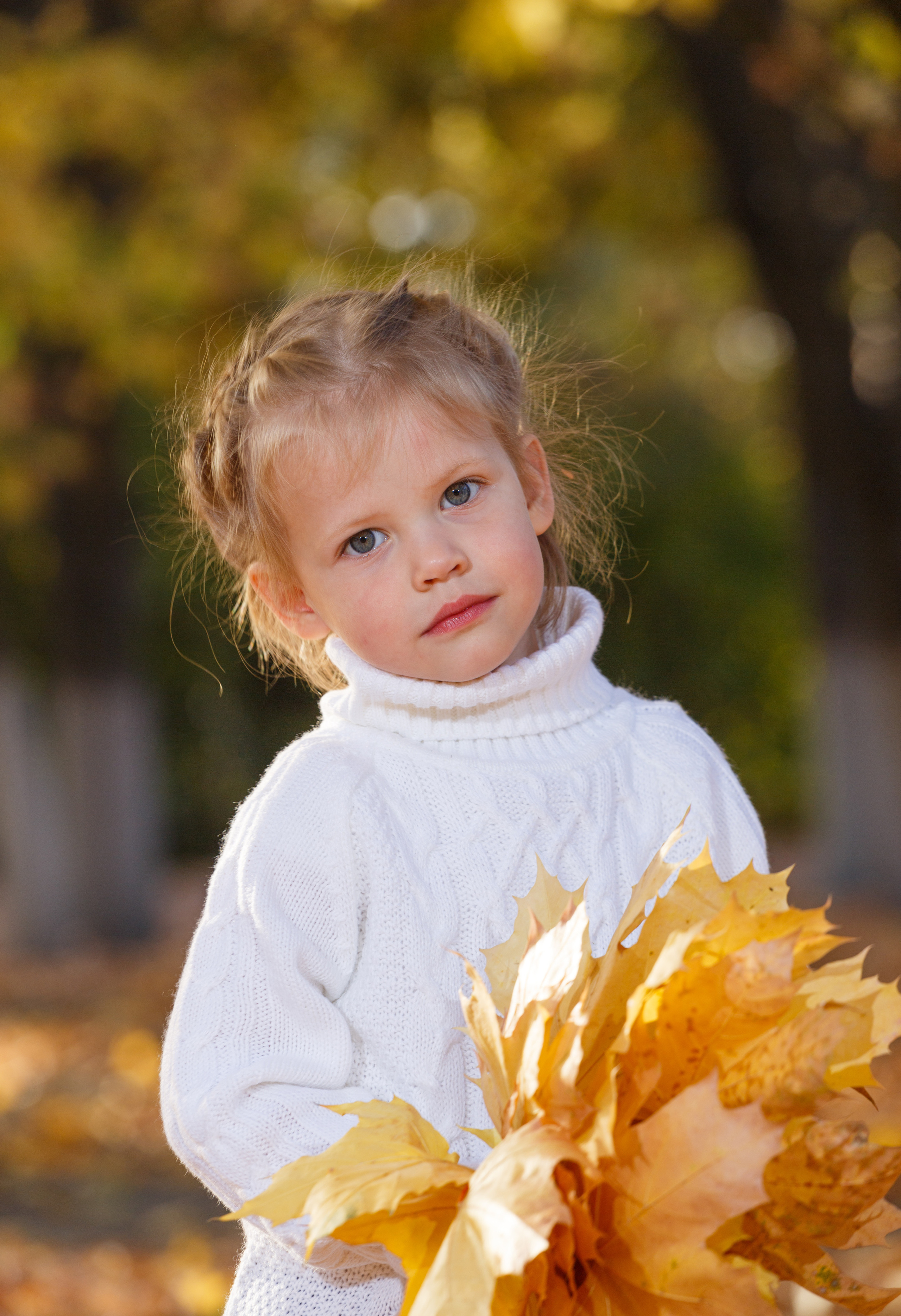 Золотая осень. Фотограф Петров Александр Свадьбы, Съемка в студии, Выпускные альбомы г. Балашов