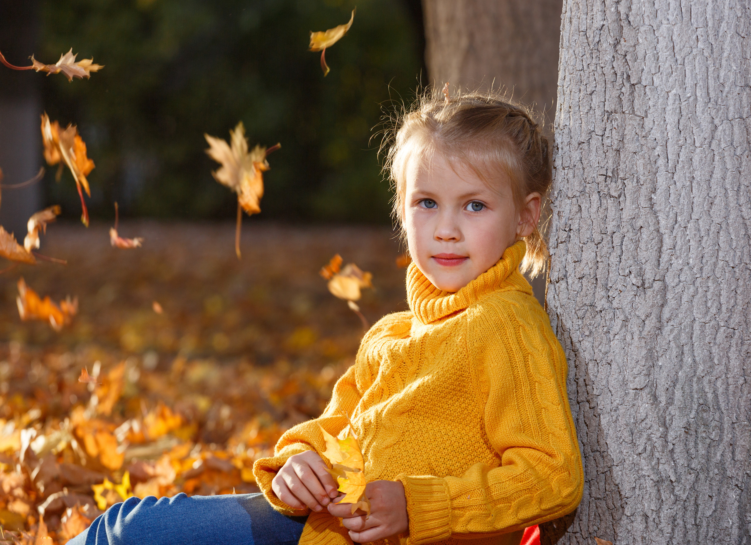 Золотая осень. Фотограф Петров Александр Свадьбы, Съемка в студии, Выпускные альбомы г. Балашов