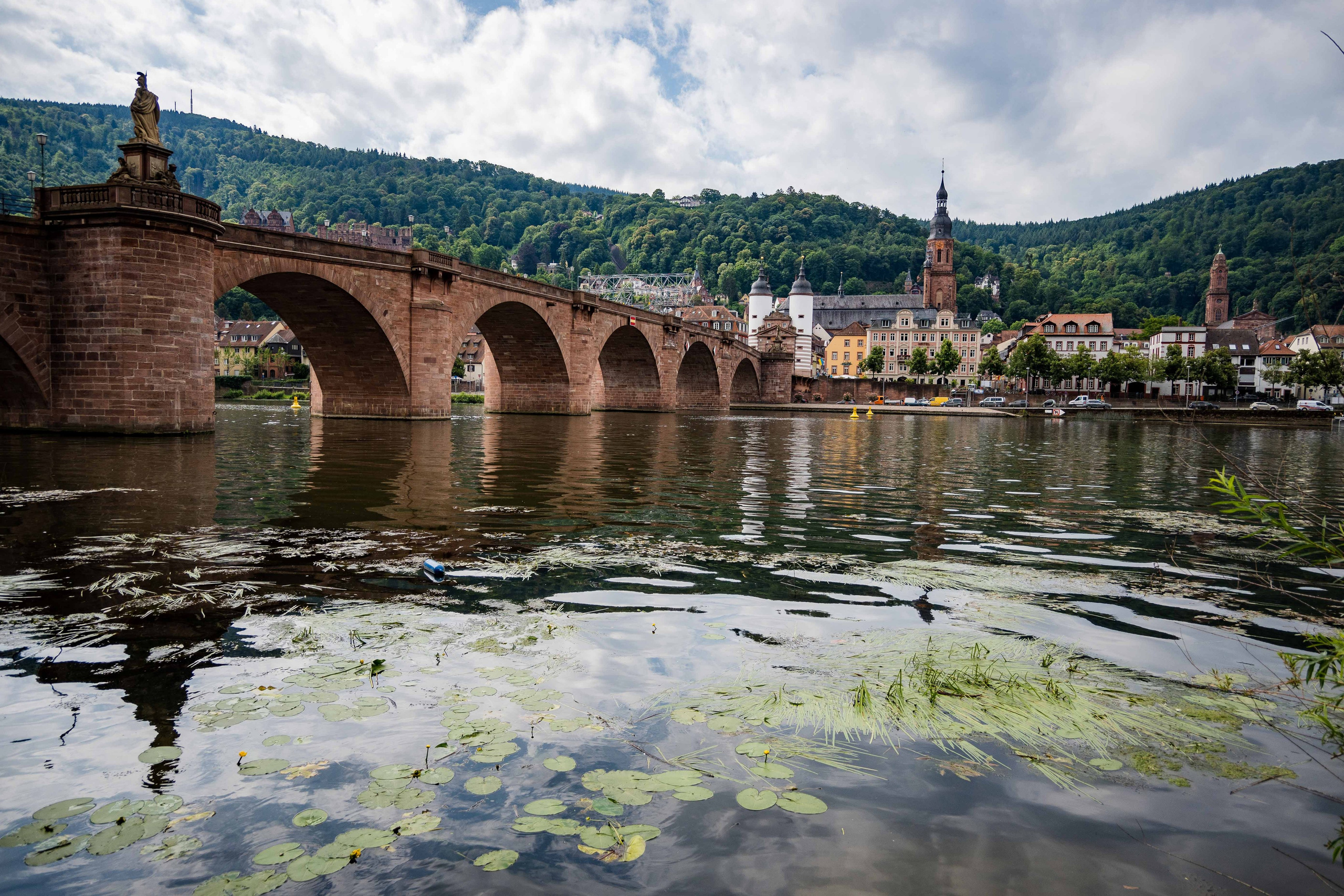 Контакты. Фотограф Минск