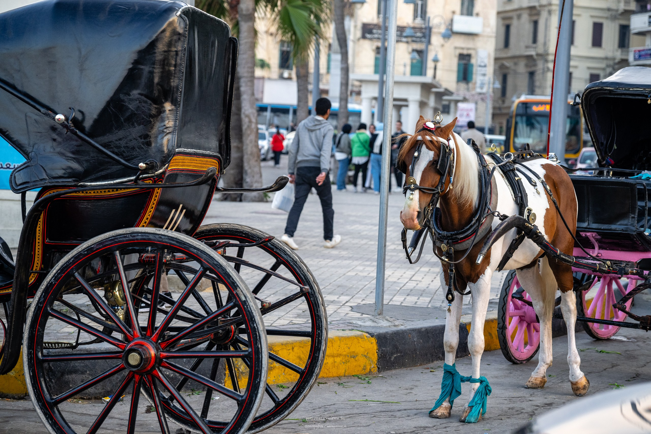 Александрия-город у моря. Авторские стильные фотокартины