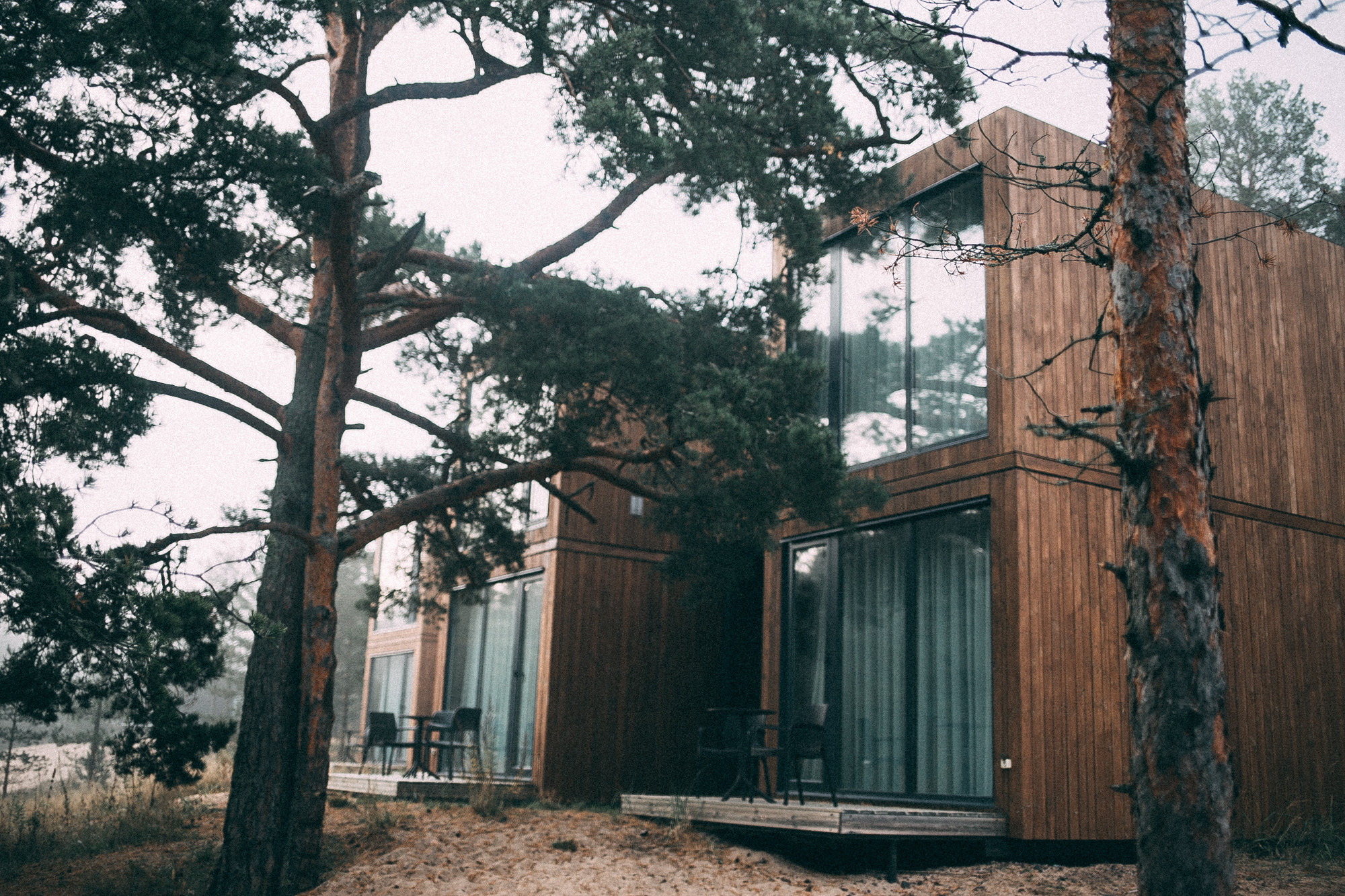 Полезное. Даша Яковенко Фотограф Спб