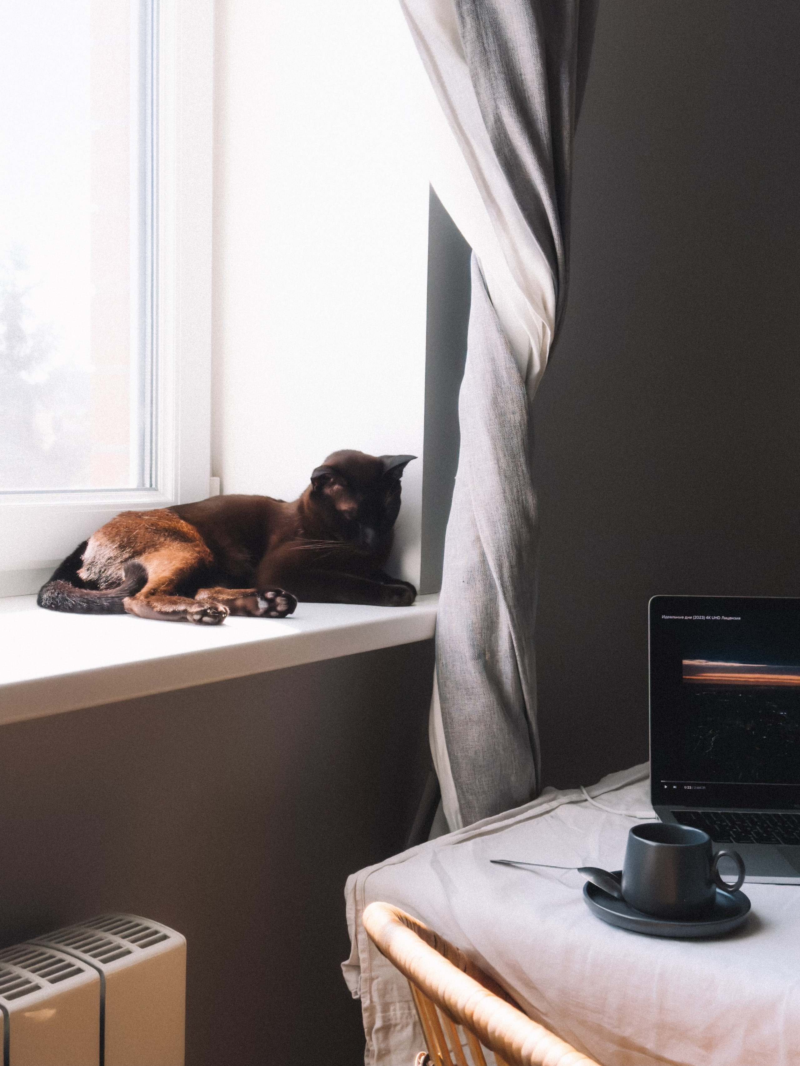 Мастер класс. Фотограф Анастасия Дмитриева