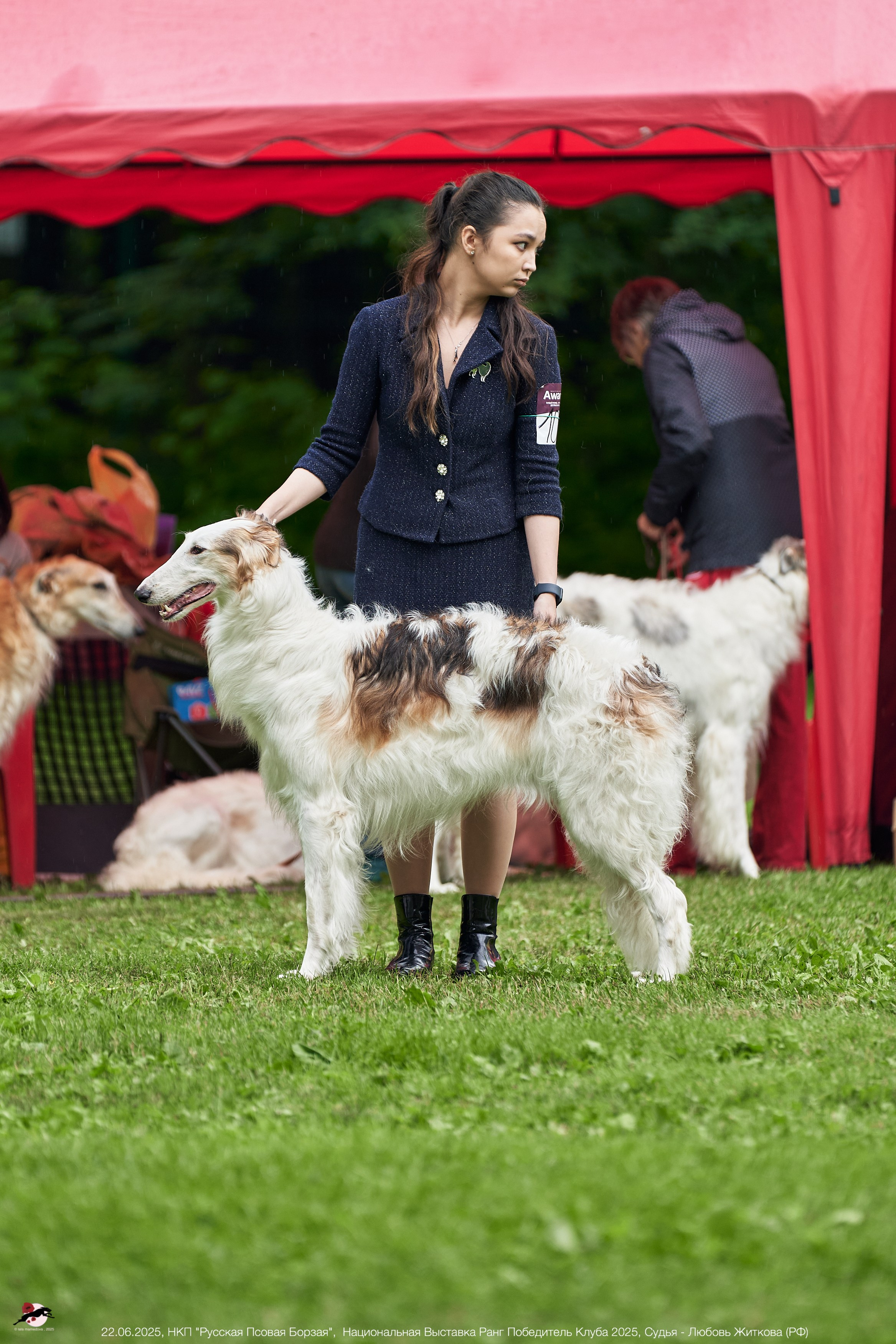 22.06.2025 | Национальная Выставка НКП "Русская Псовая Борзая"