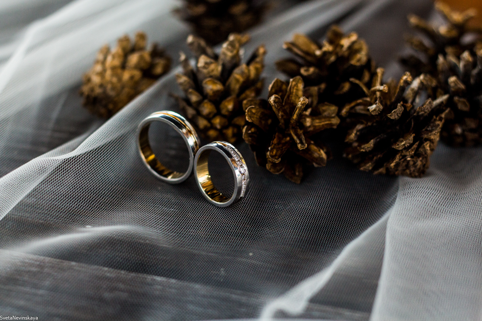 МИНИ. Свадебный фотограф Светлана Невинская