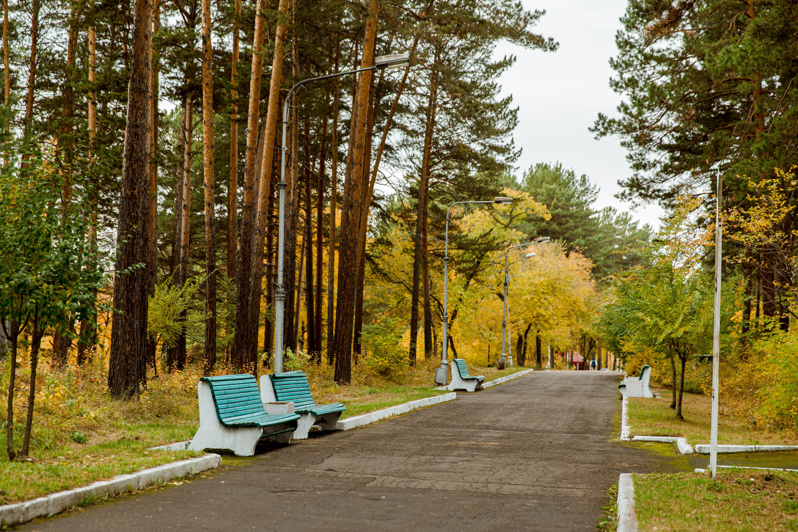 Осень в парке. Семейный и детский фотограф в Железногорске Саламахо Ольга
