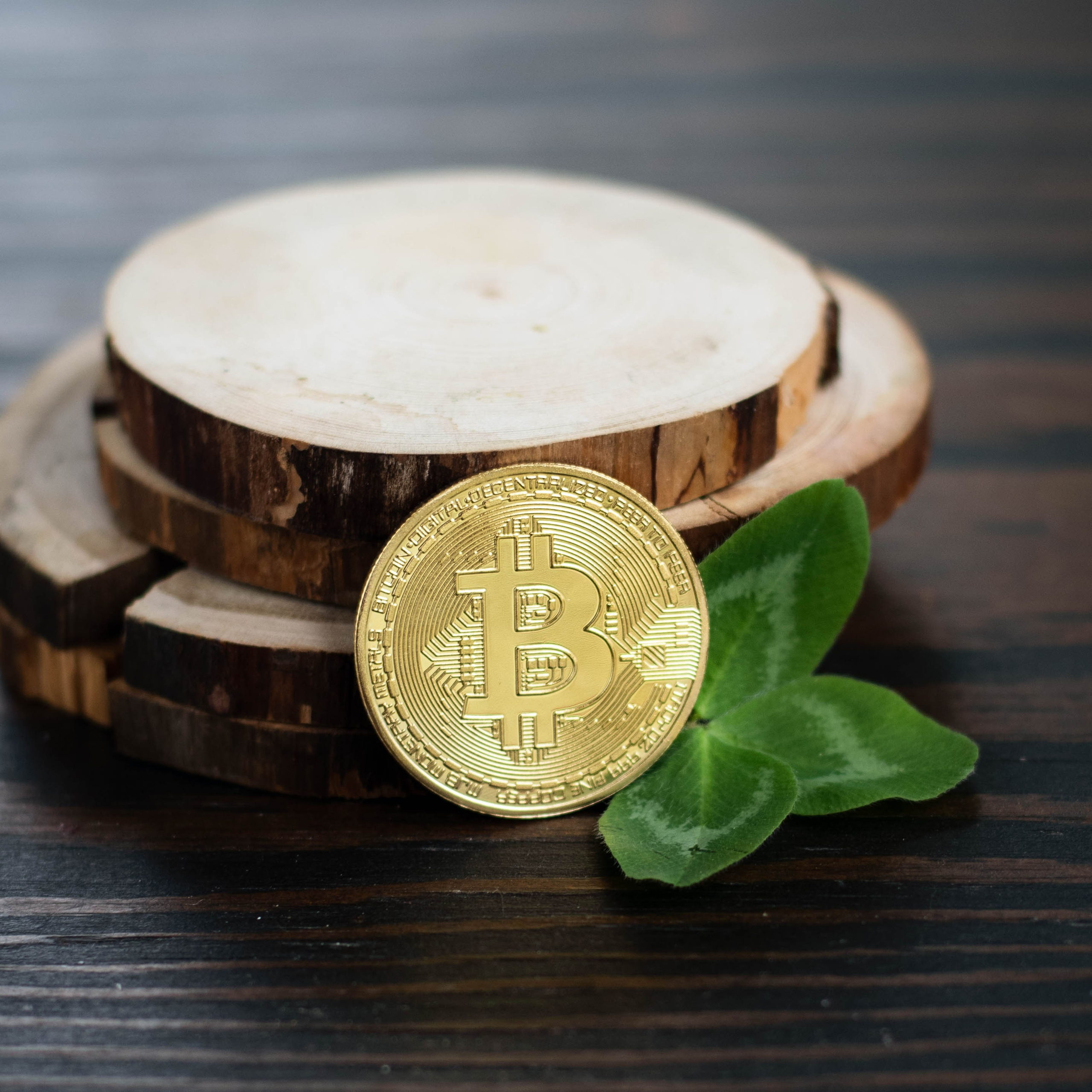 Товары для магазинов на маркетплейсах. Екатерина Бикбаева фотограф, видеограф, медиа-продюсер