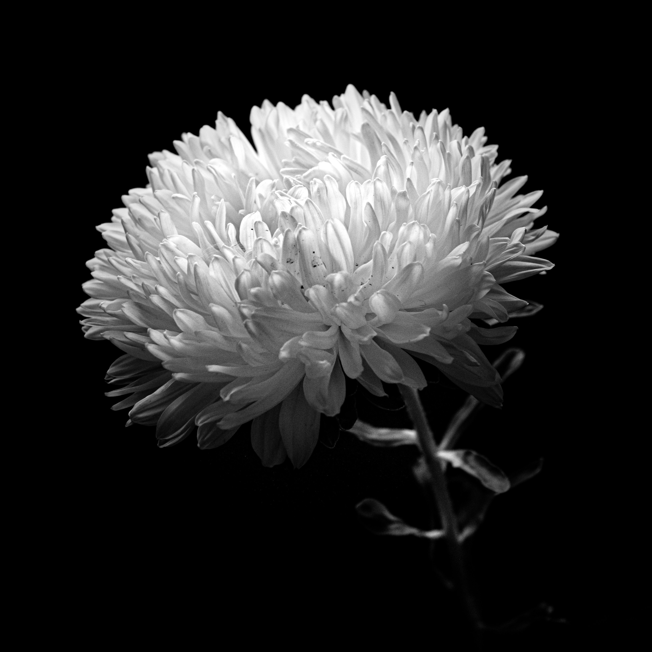 Курс «С нуля»