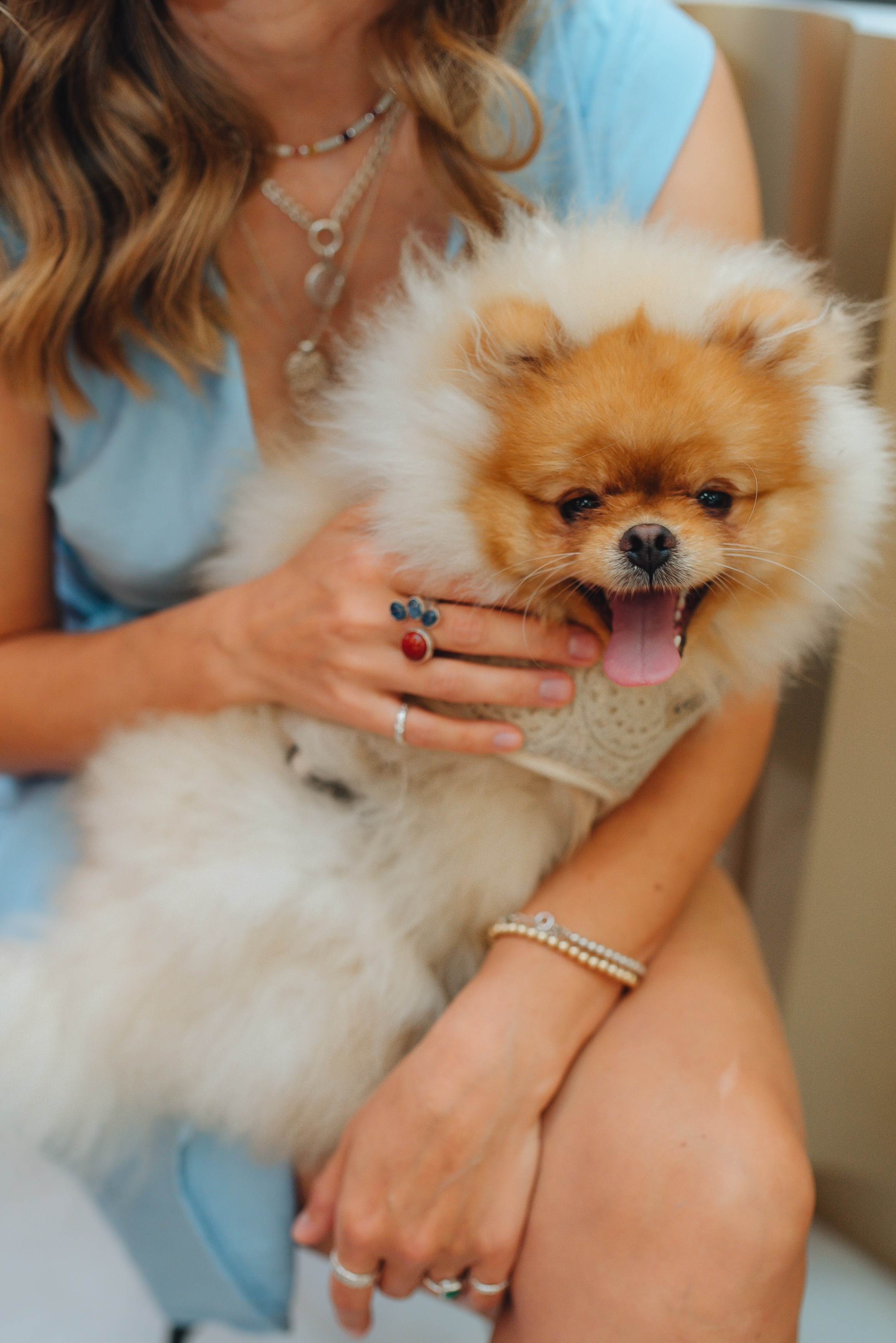 1 год ADDA Prague. Фотограф Прага | Photographer Prague| Фотограф в Праге Яра Куркус