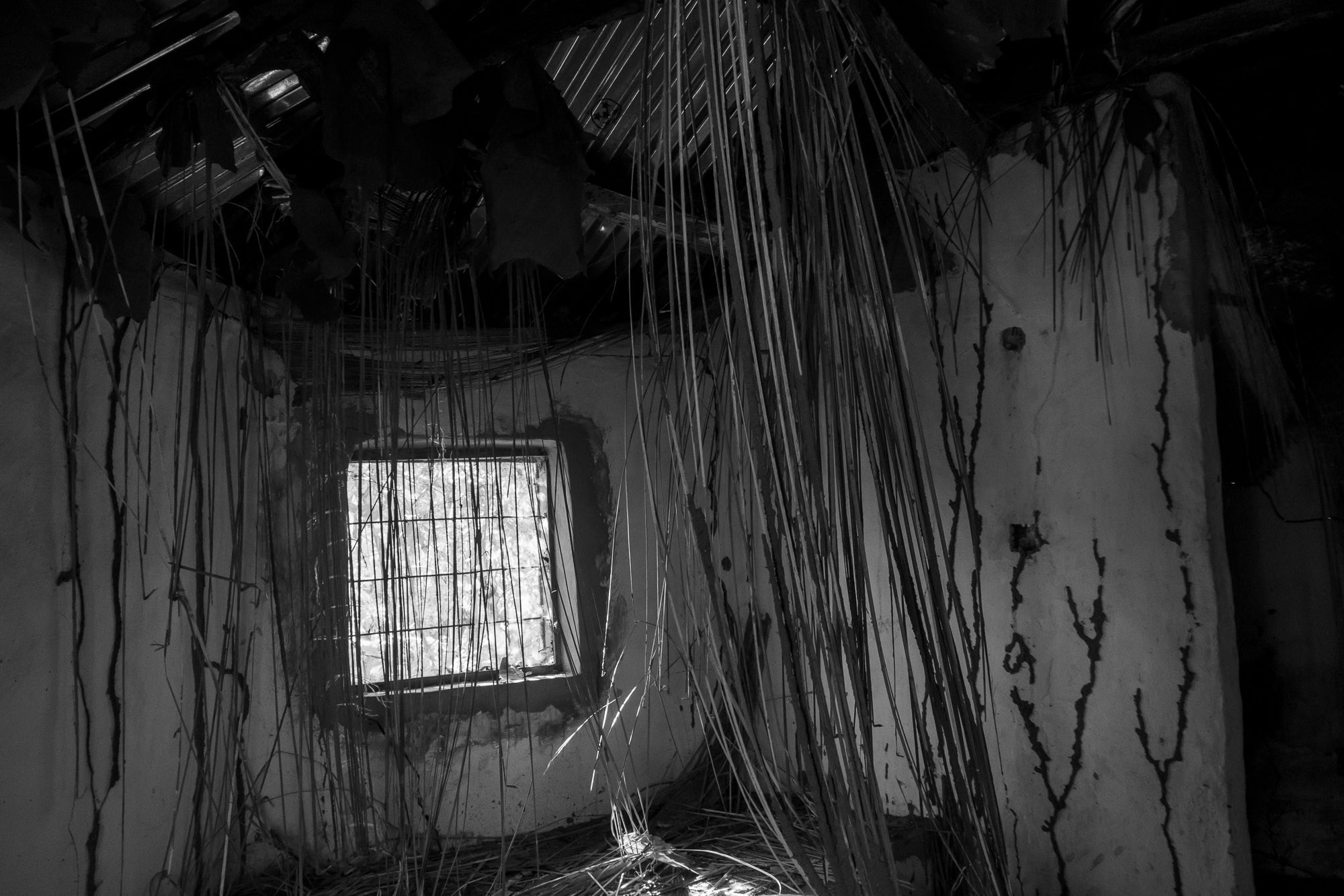 Путешествие по Гамбии (Западная Африка).Traveling in Gambia (West Africa.). Фотограф Алексей Скоробогатько