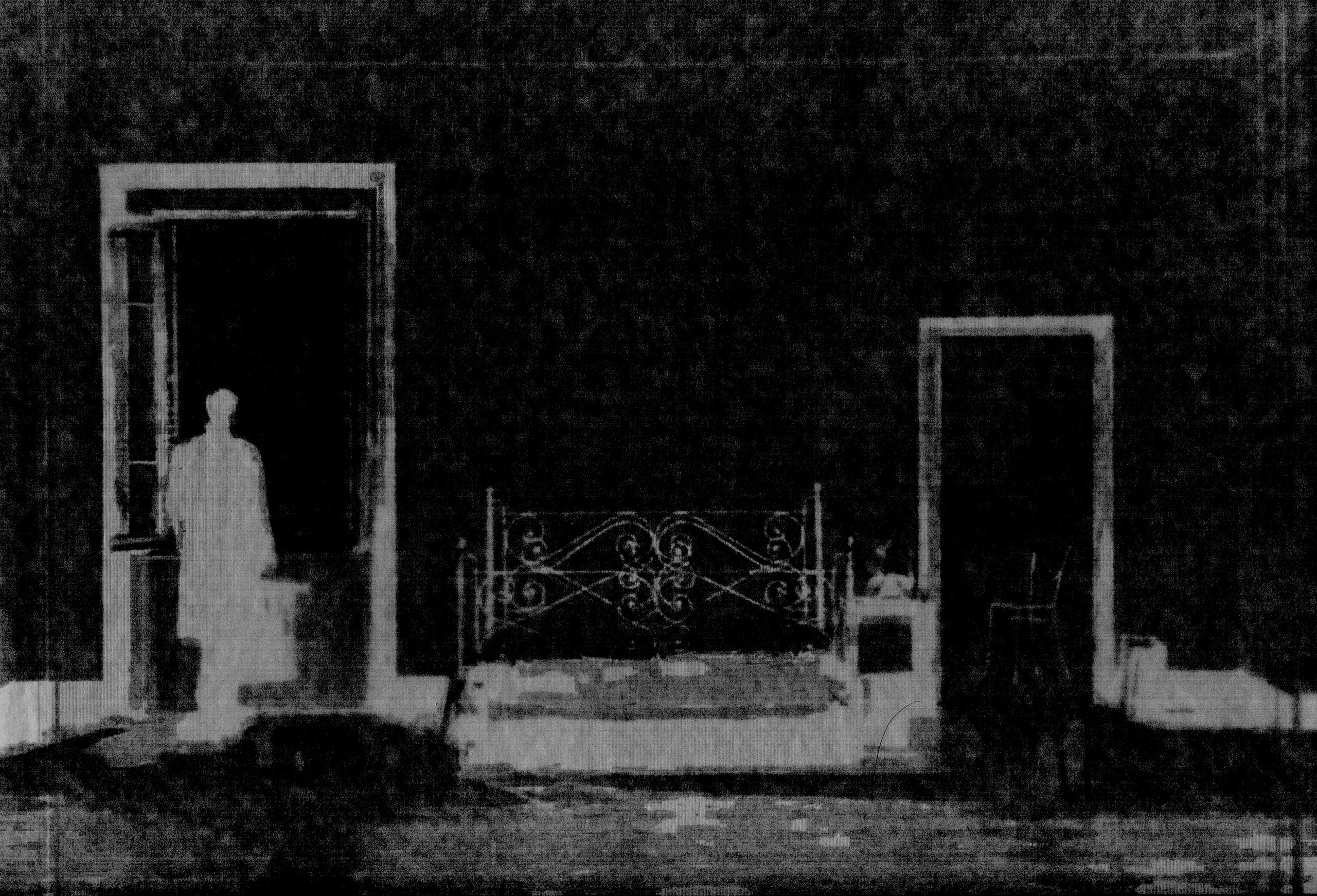 Pulherrima Rosa. Плёночный фотограф Юлия Андрейченко в Москве