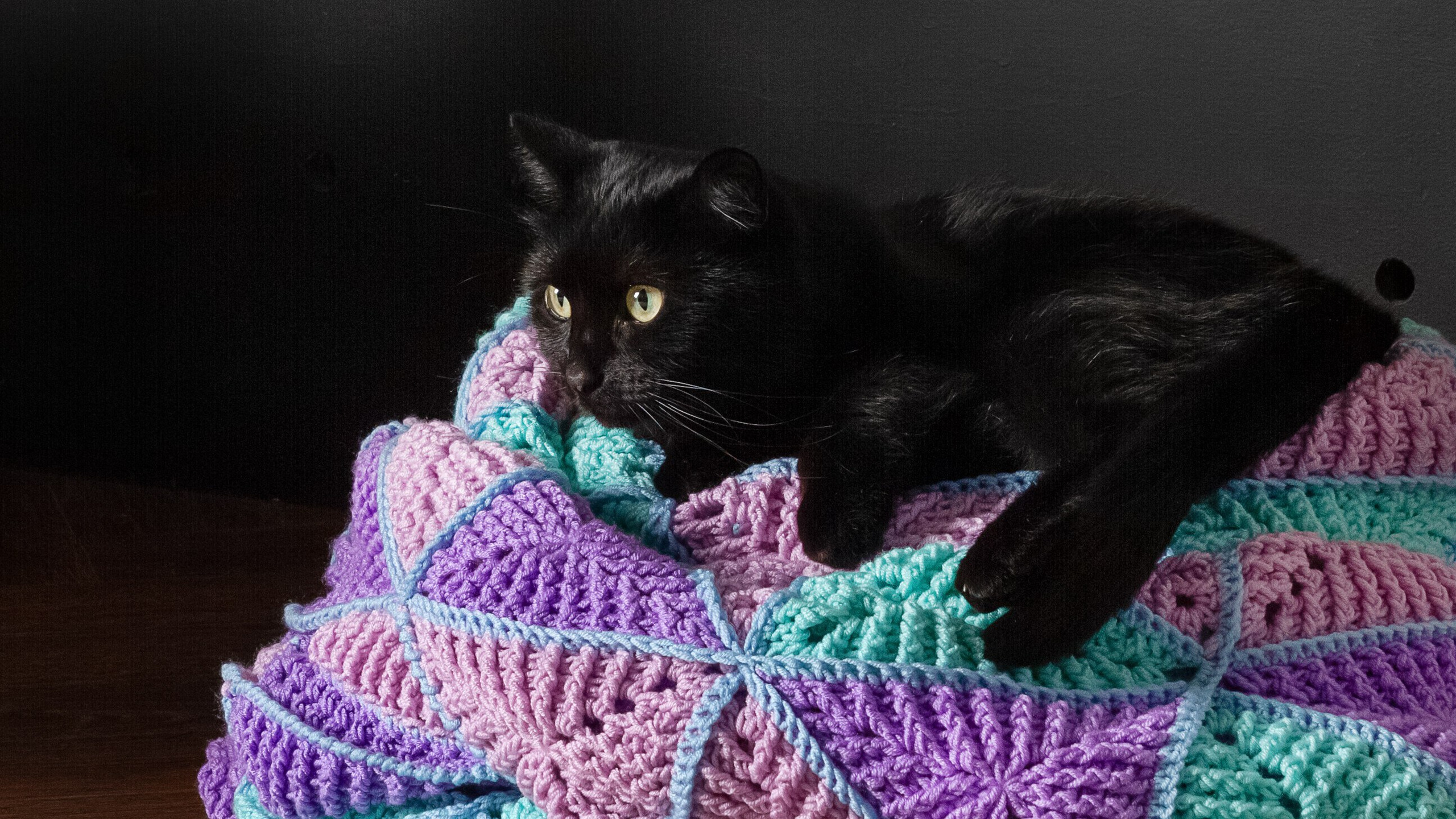 Предметная фотосъемка в СПб | Gus'Photo