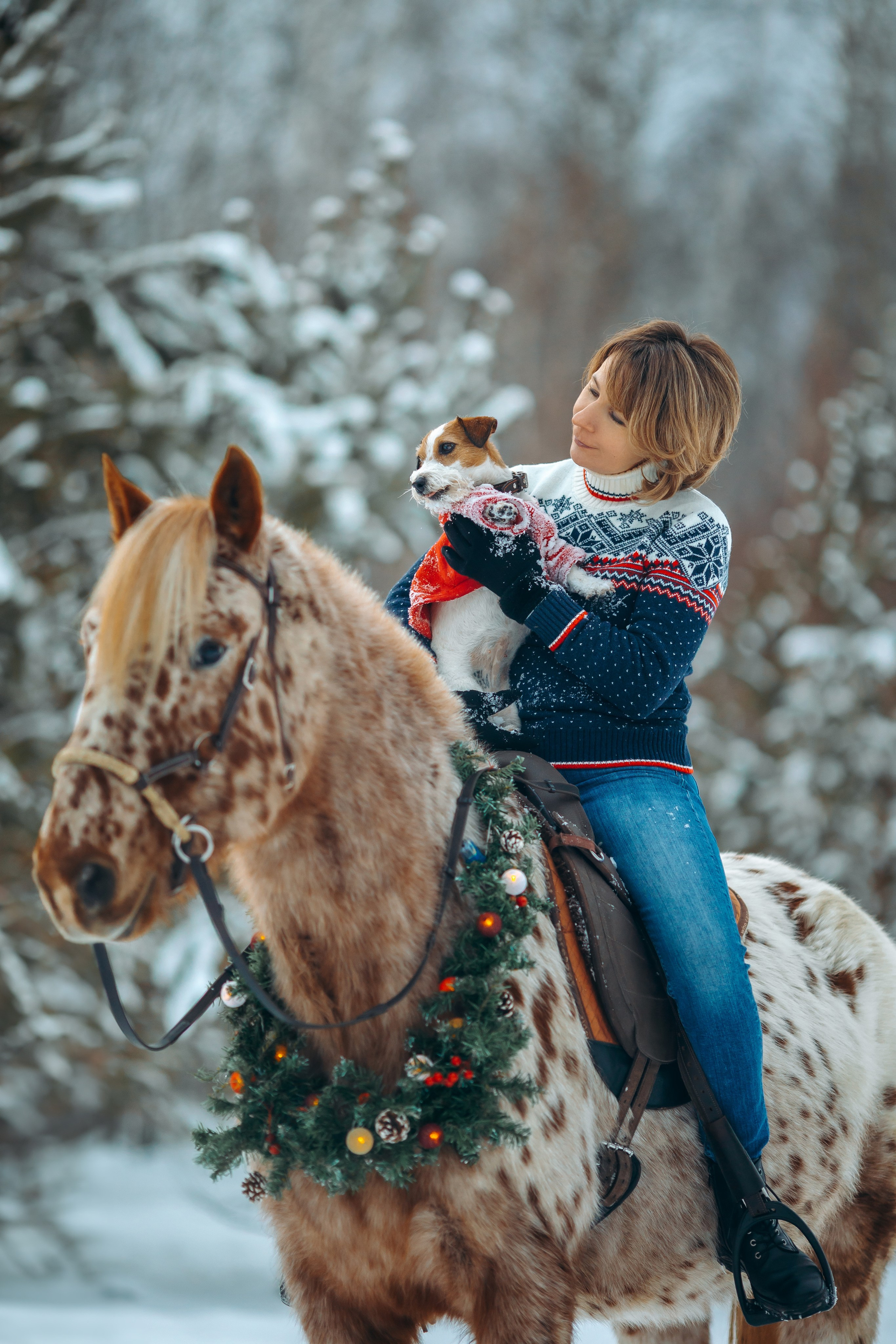 Тариф новогодний 2024. Анна Молчанова конный фотограф в Тюмени | фотосессии с лошадьми Тюмень