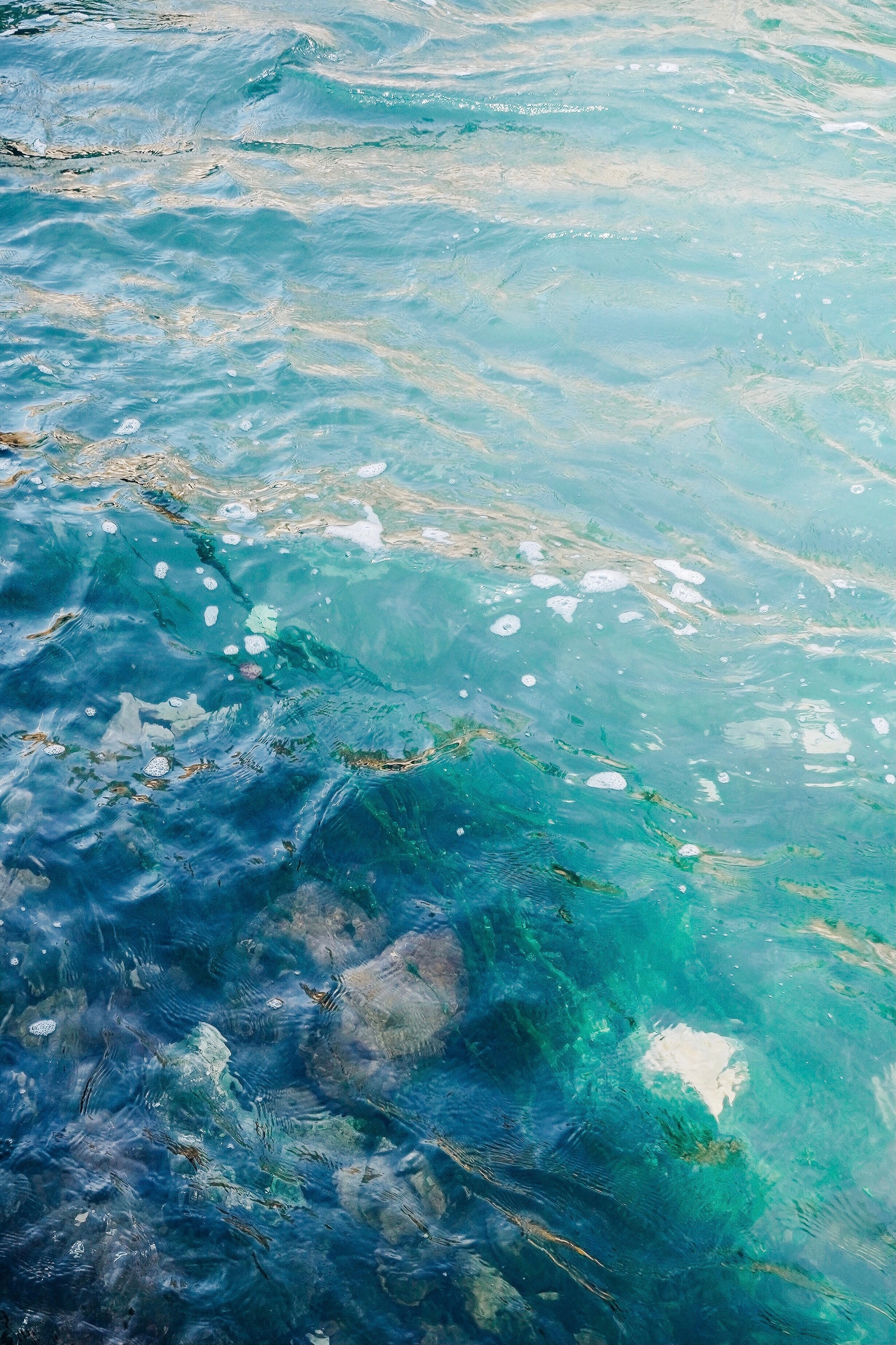 EKATERINA BOGDANOVA ─ PHOTOGRAPHER