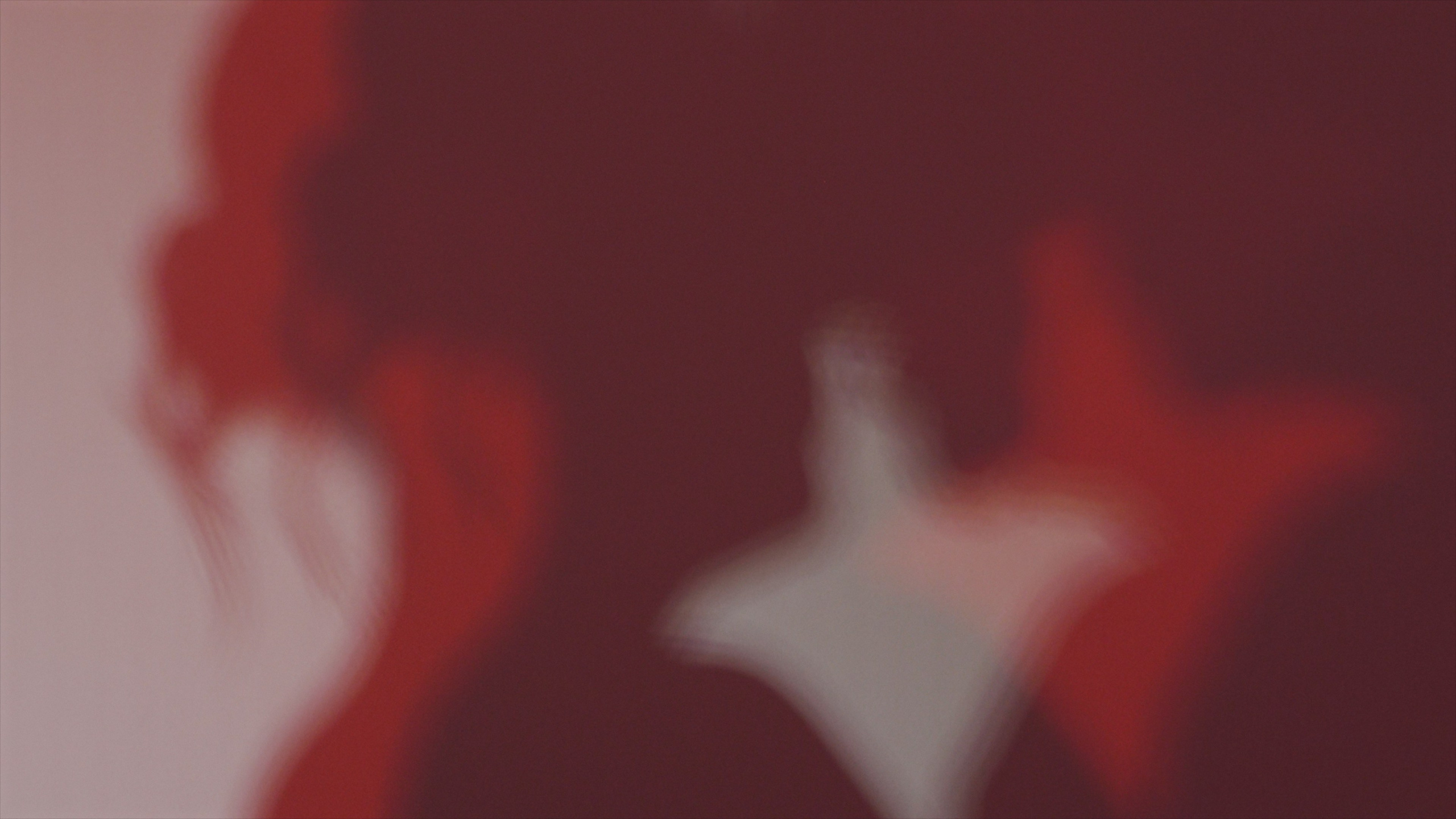 Екатерина и Егор. Агата Акварель видеограф Сочи Краснодар