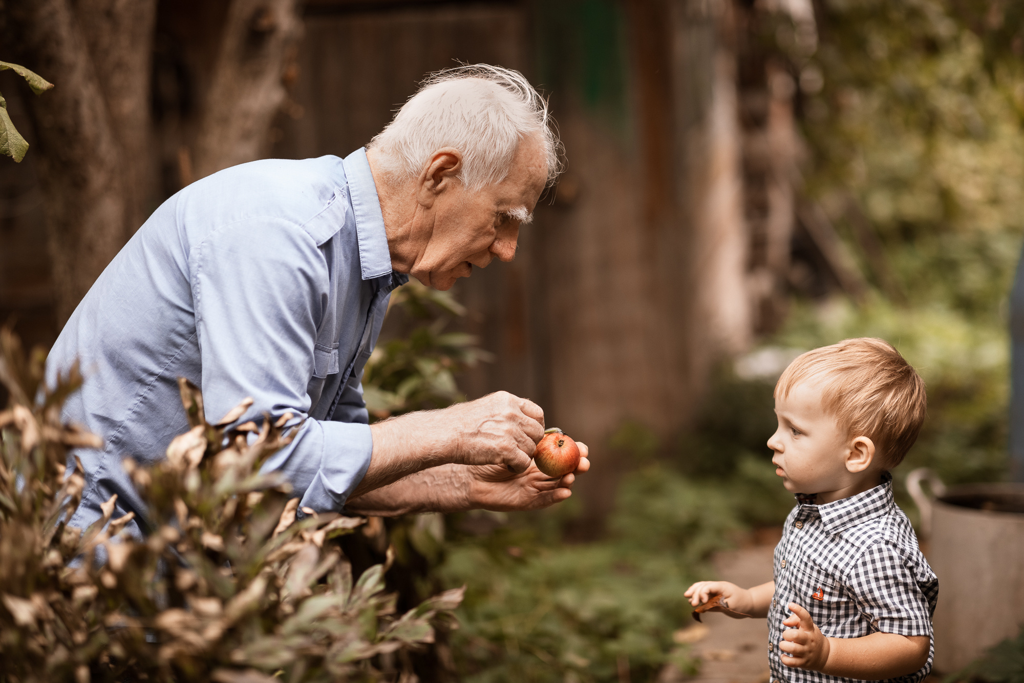 Семейная фотоистория в винтажном стиле. Женский семейный фотограф Тула Москва Захарова Анна