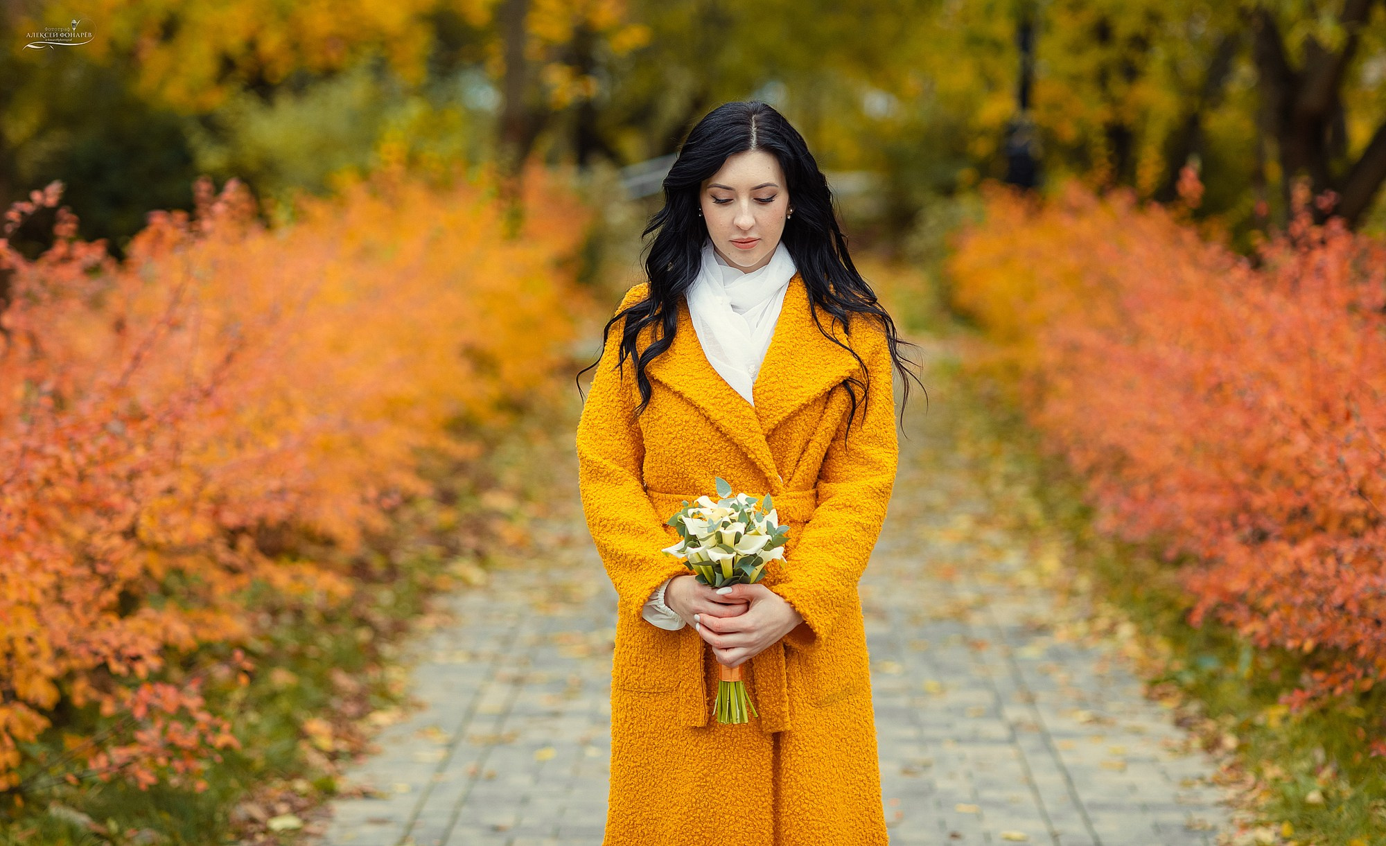 Свадебный фотограф в Талдоме и Дубне. Свадебный фотограф в Дубне Алексей Фонарёв