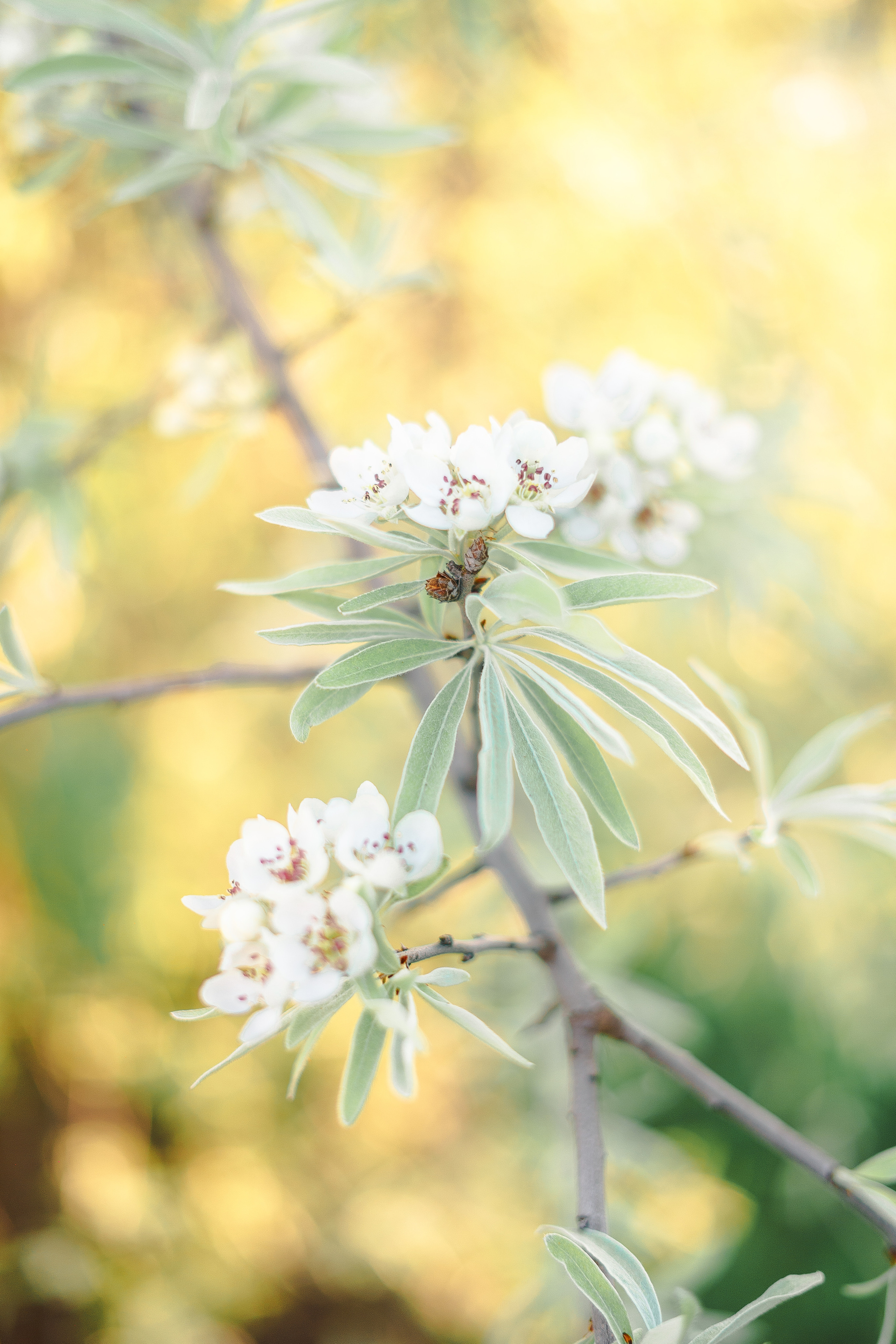 Фотосессия Арины в образе художницы. Свадебный и семейный фотограф Рязань. Дмитрий Волков