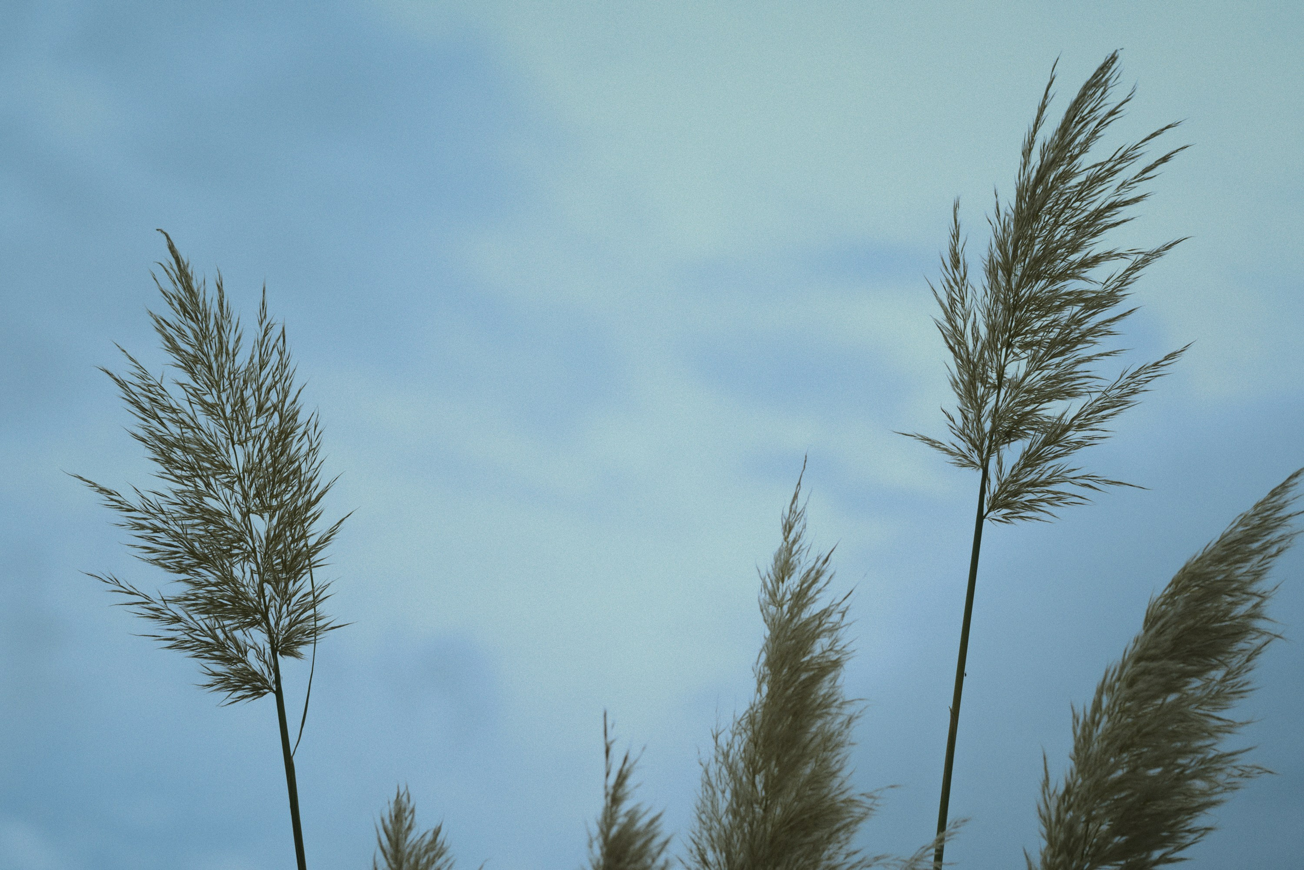 Inner child / cluster (day-a). Фотограф Юрин Евгений