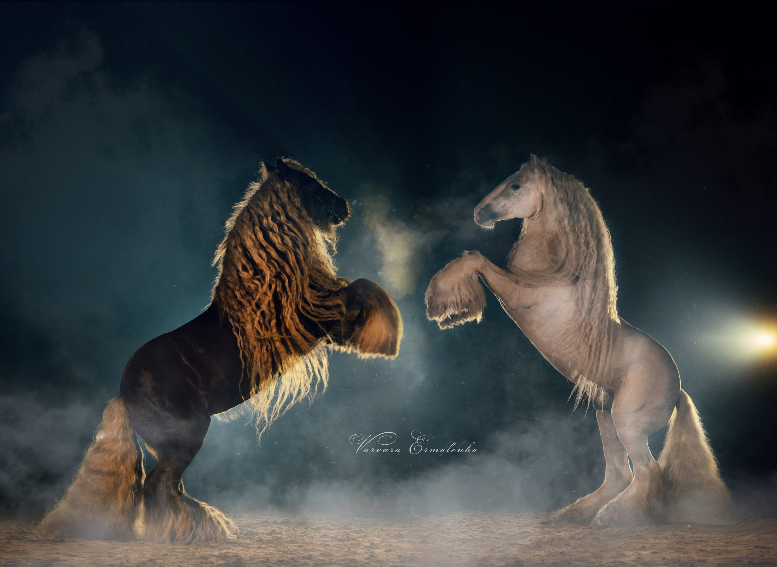 Фотограф Варвара Ермоленко