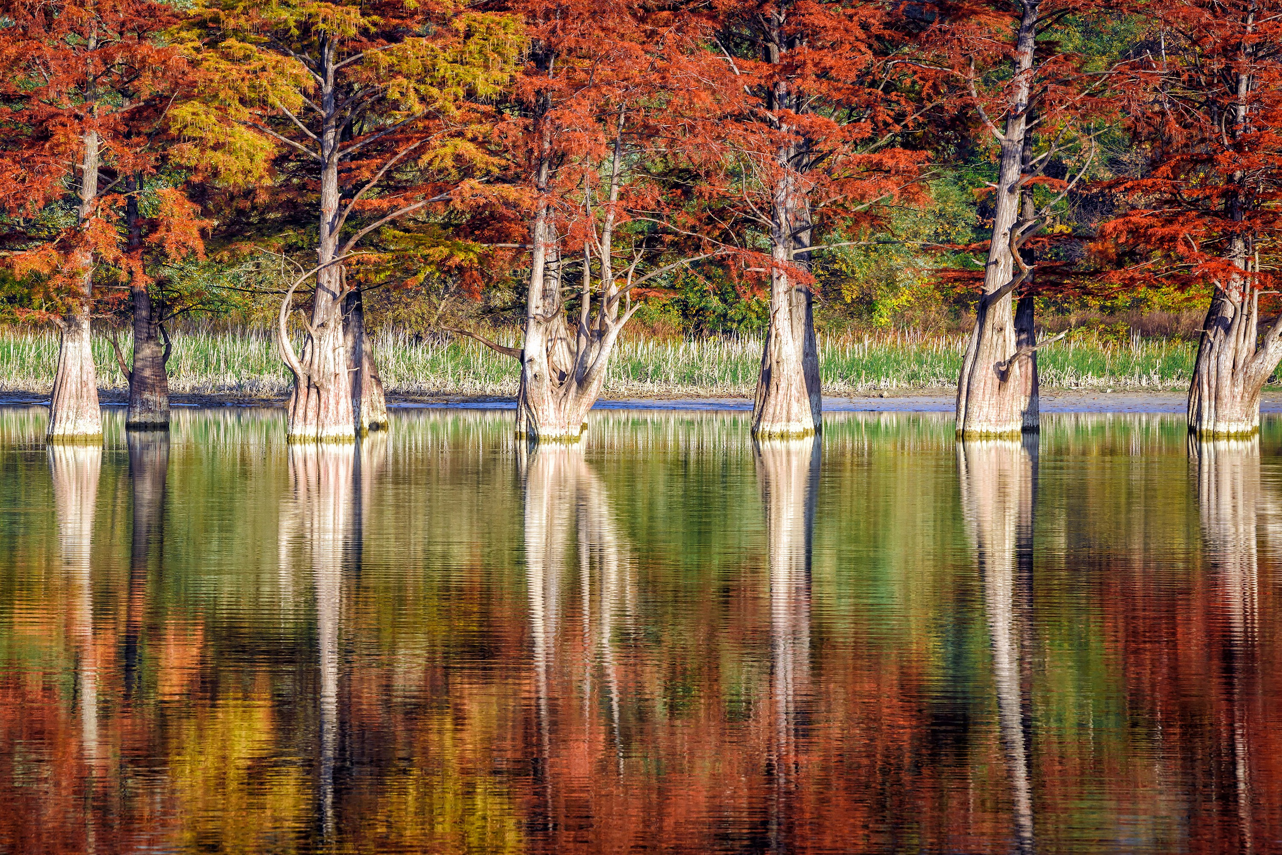 Пейзажи. Яркие фото на Чёрном море