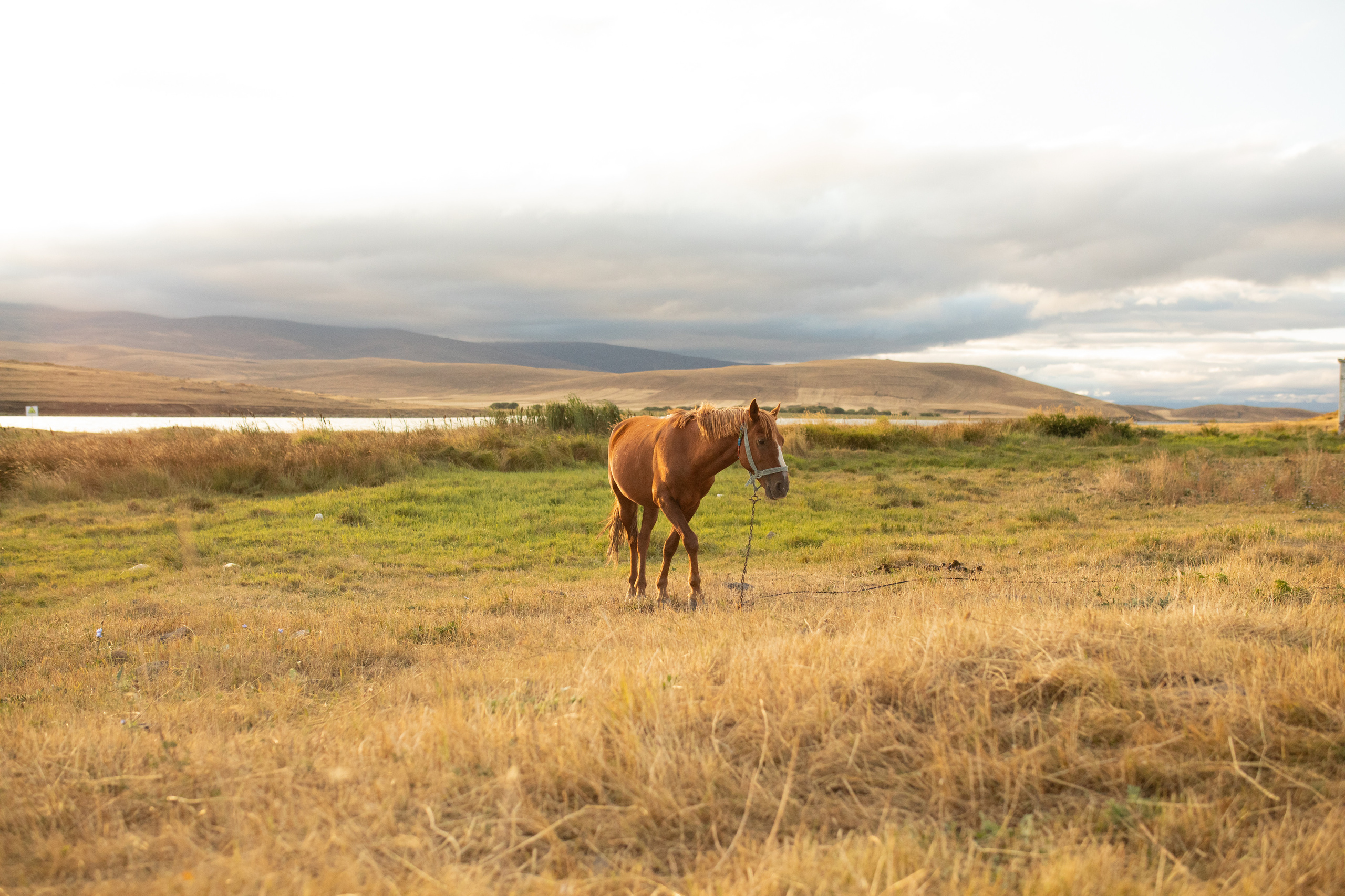 Фотограф в Москве Алёна Гладкова