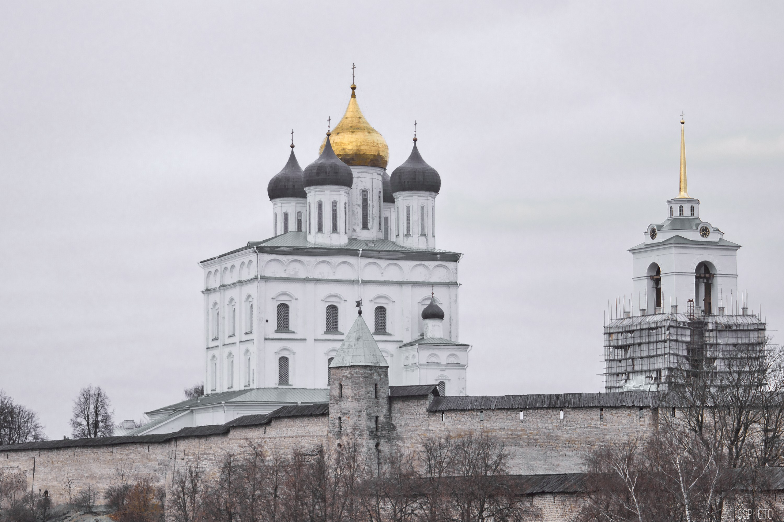 Псков. Ноябрь. Фотографъ Сергѣевъ. Поймать мгновеніе