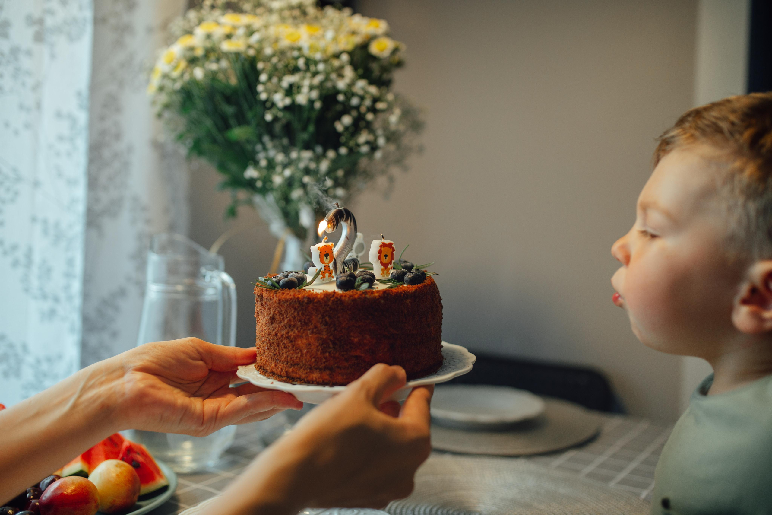 Домашняя, Матвею 2 годика