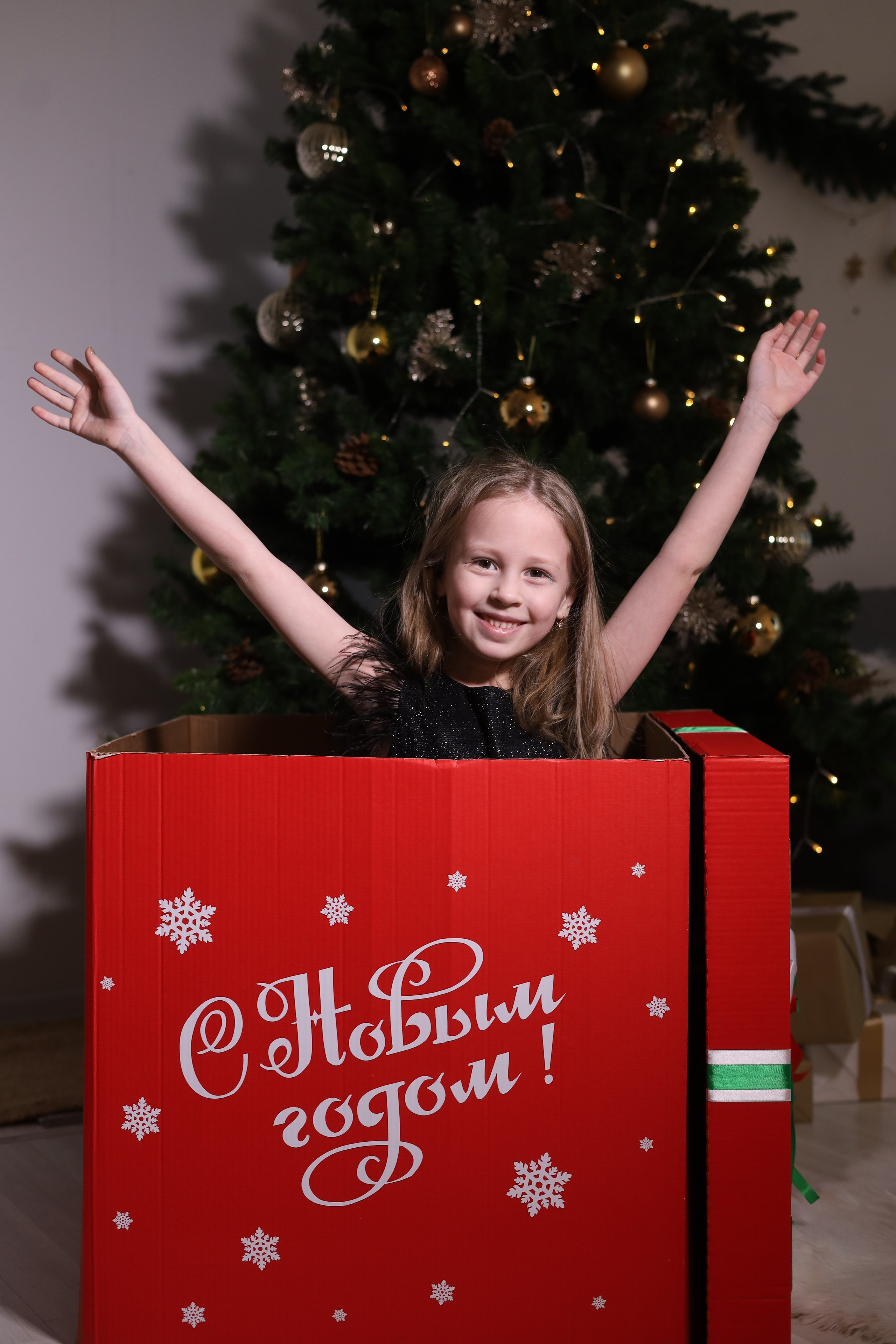 Семейный новый год Эля. Фотограф в Красноярске Никитина Мария