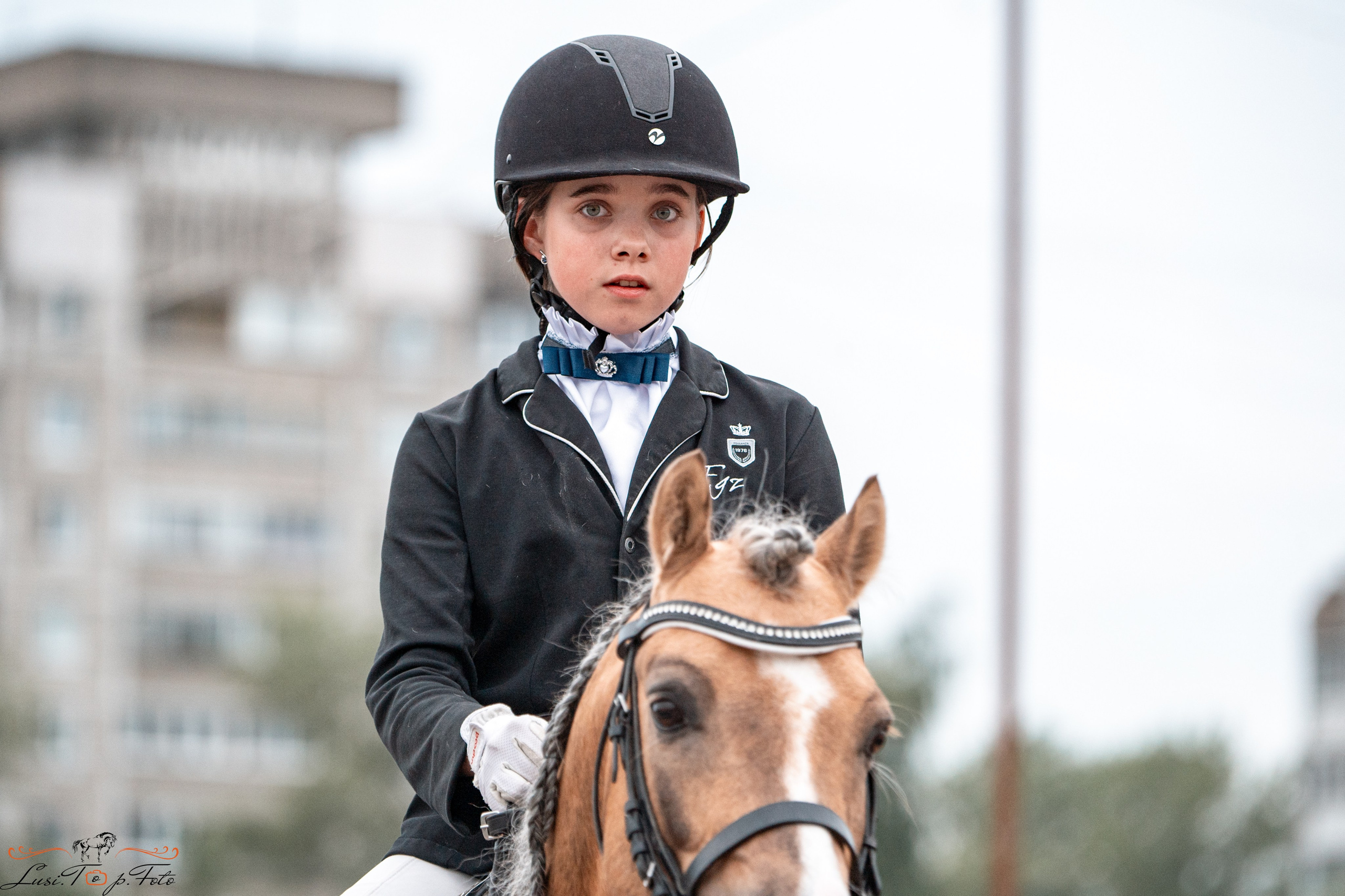 Областные соревнования по выездке. Тверь. Конный и фотограф с животными в Твери Топталова Люся