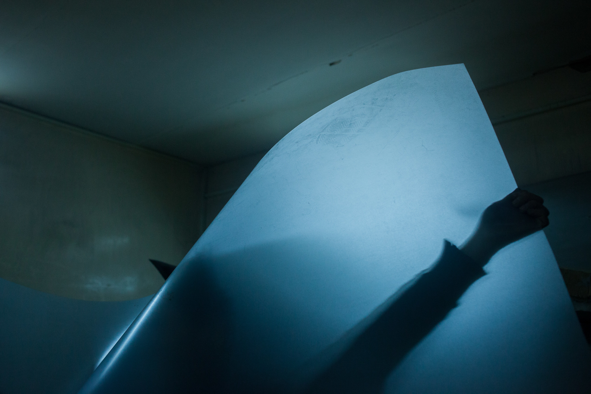 ICARUS. Evgeniya Kokurina